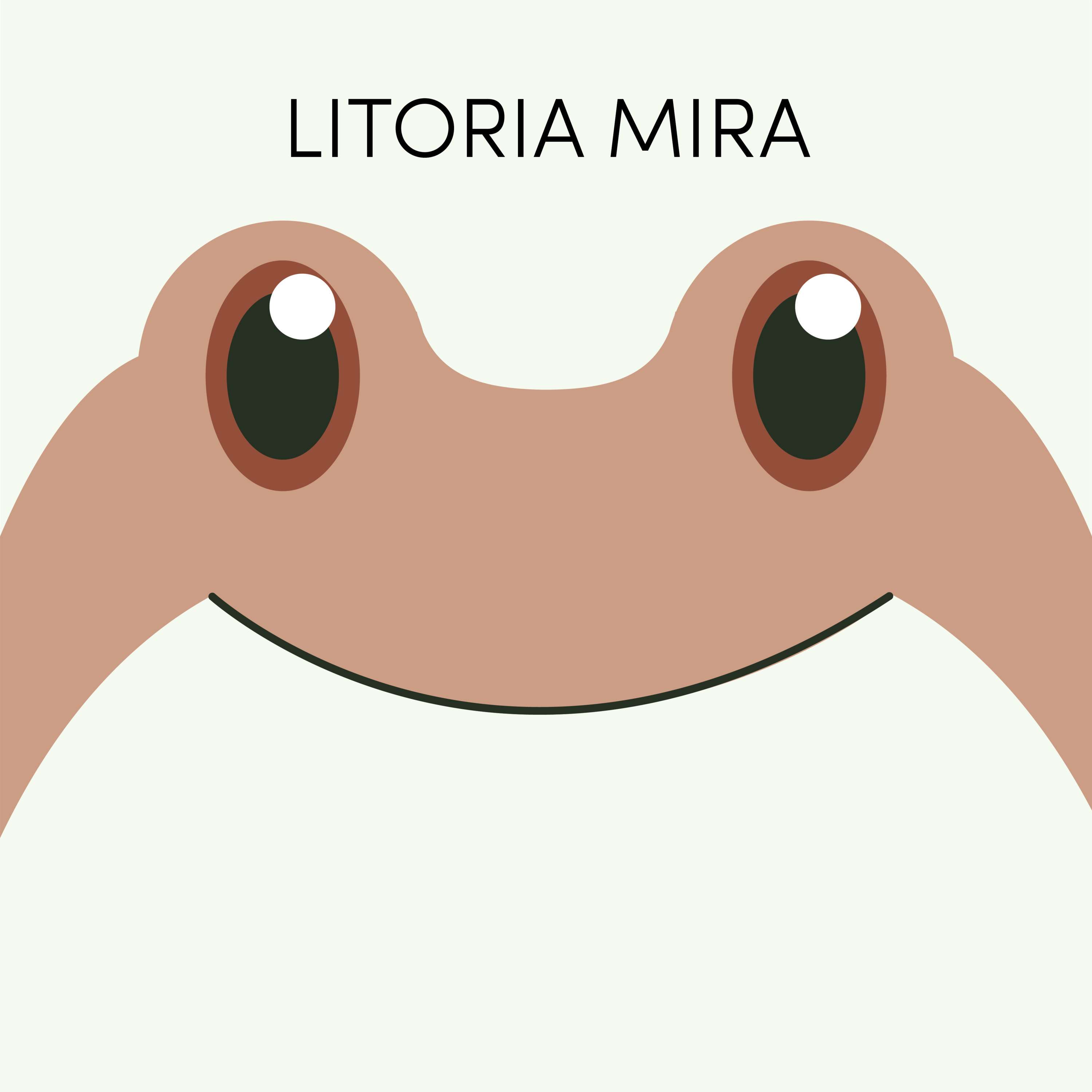 Litoria Mira | Week of August 2nd