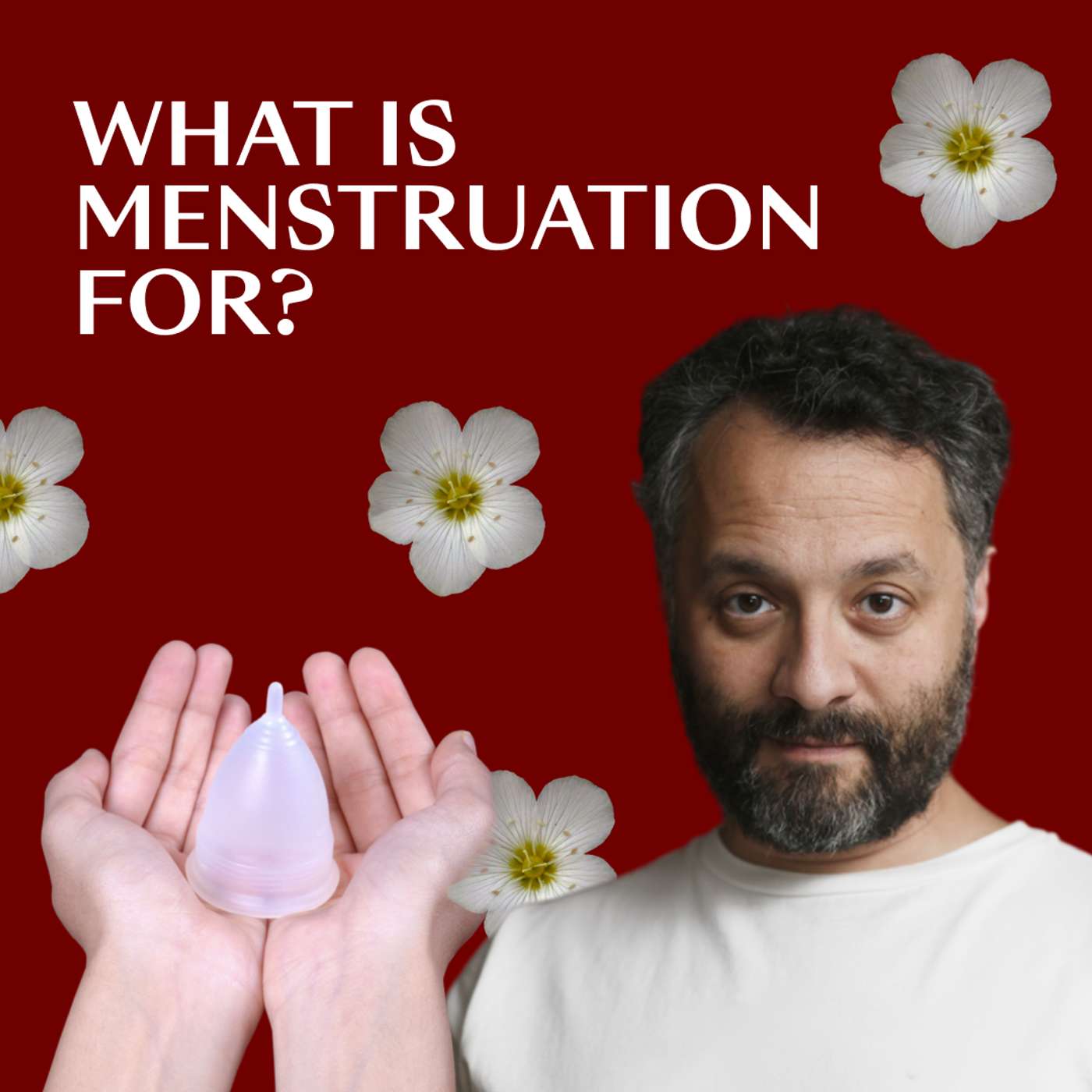 What is menstruation for?