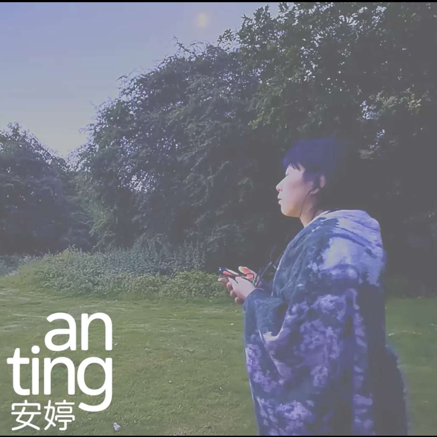 Immersive Storytelling: Humans, Nature and Home: An-Ting