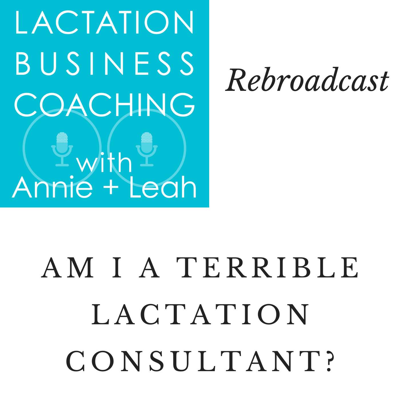 Lactation Business Coaching with Annie and Leah