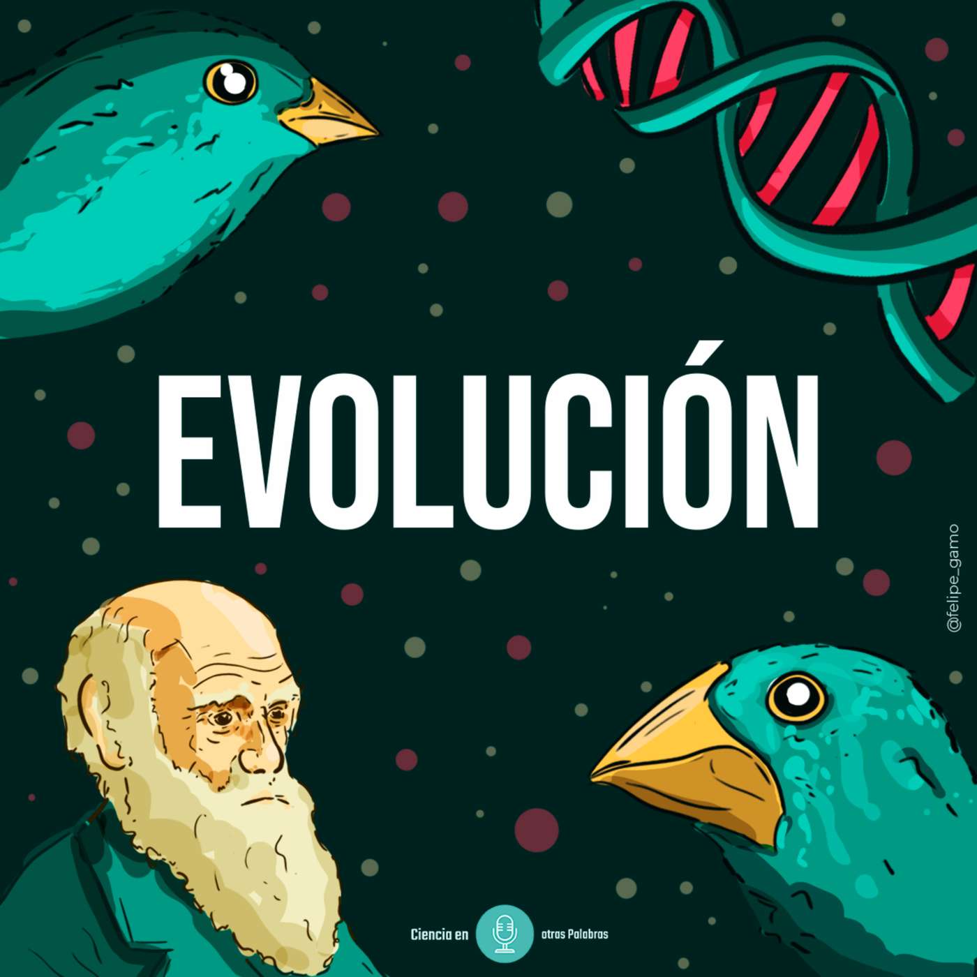 Episodio 4 - Evolución