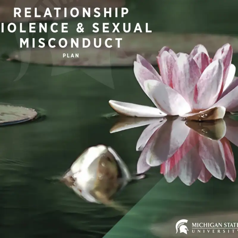 MSU releases strategic plan to address sexual assault prevention