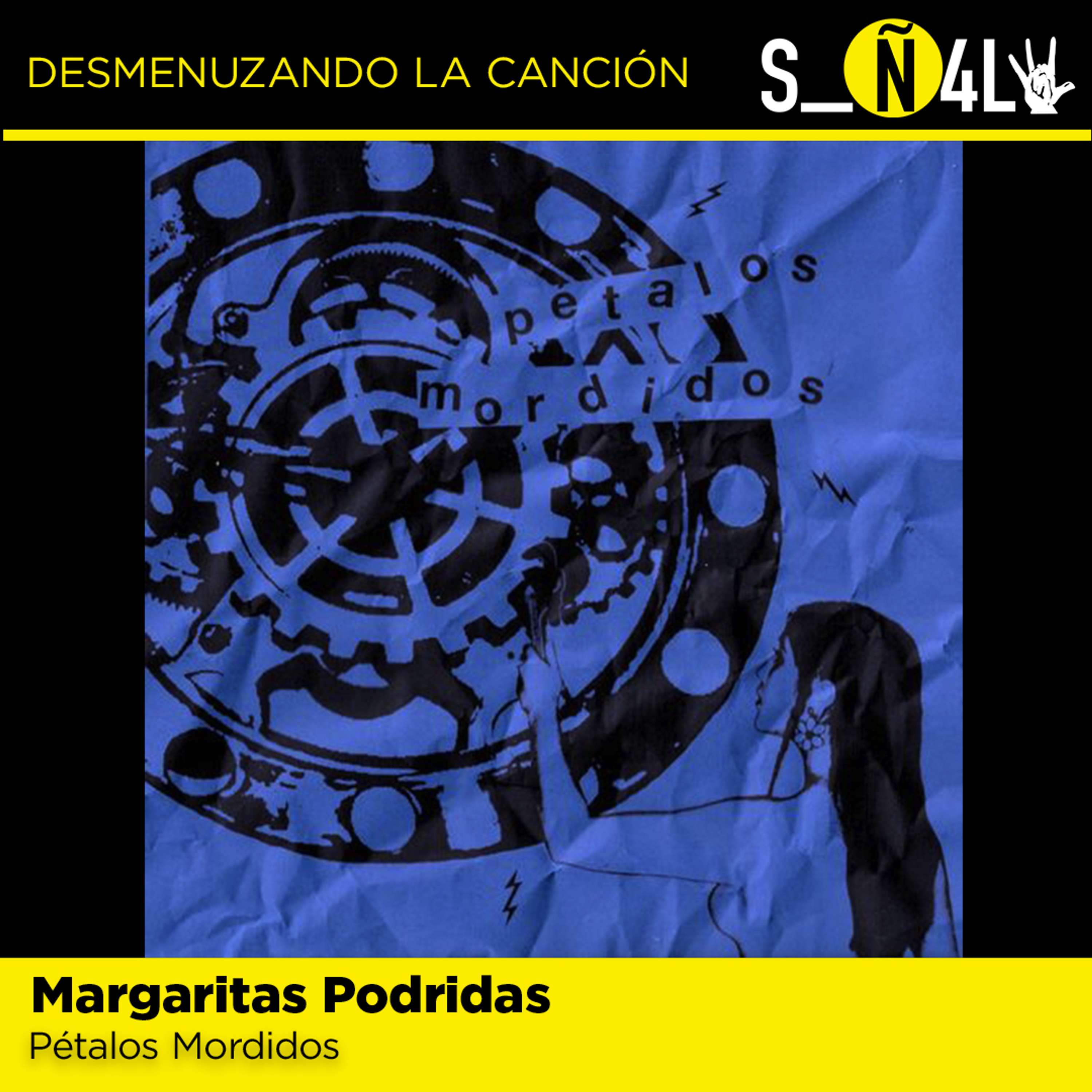 Señal VL: Desmenuzando la canción