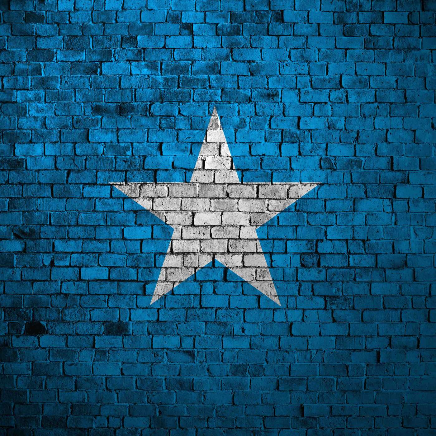 Our Somali Community