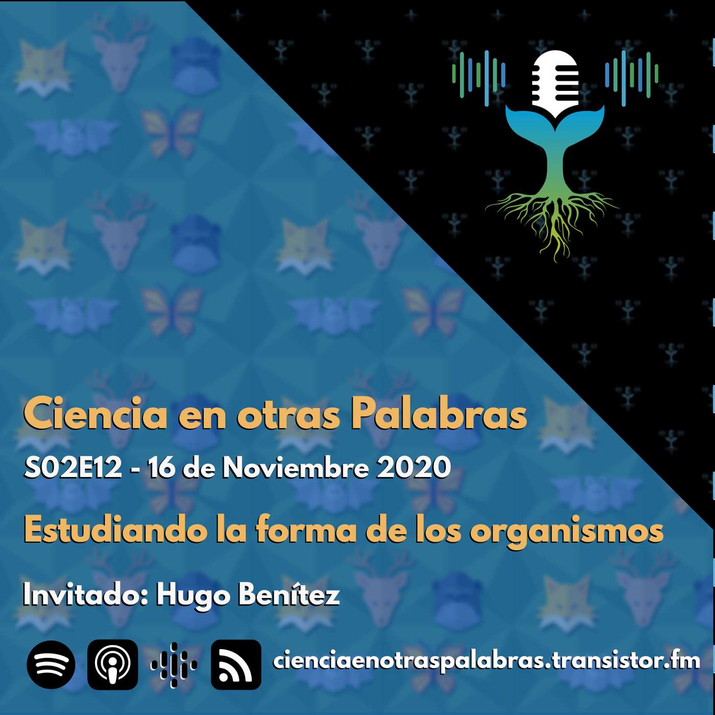S02E12 - Estudiando la forma de los organismos