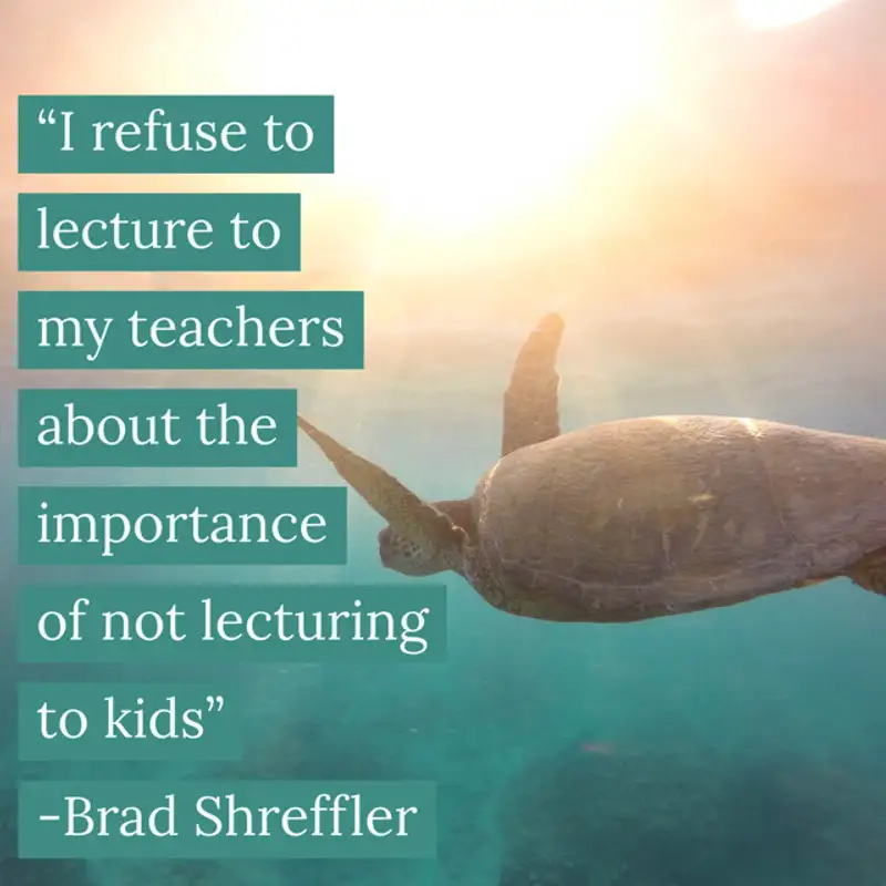 Stomach Through the Fear of Failure with Brad Shreffler Transformative Principal 223