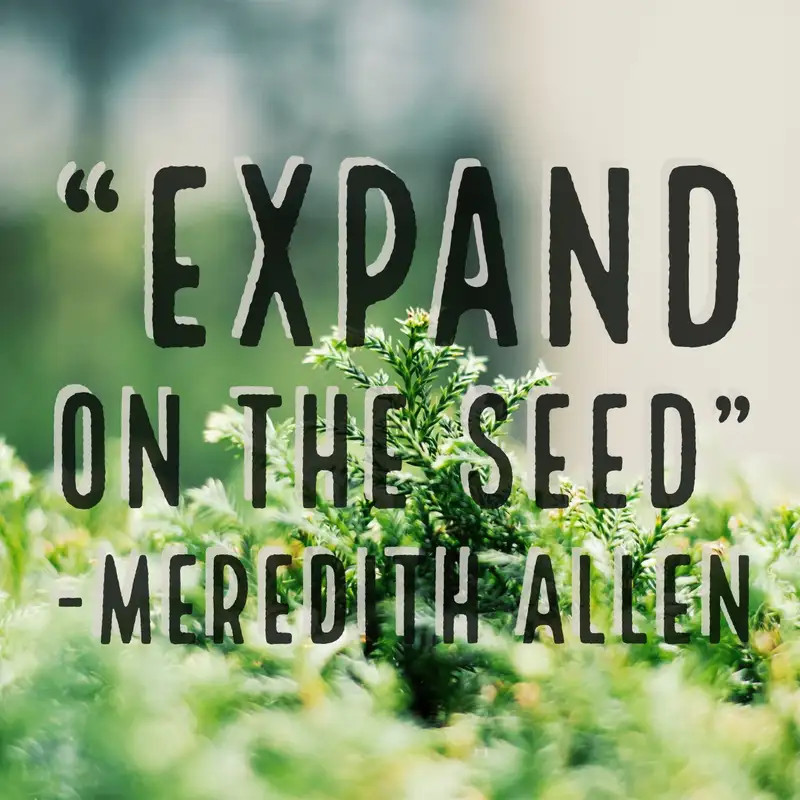 Expanding on the Seed with Meredith Allen Transformative Principal 208