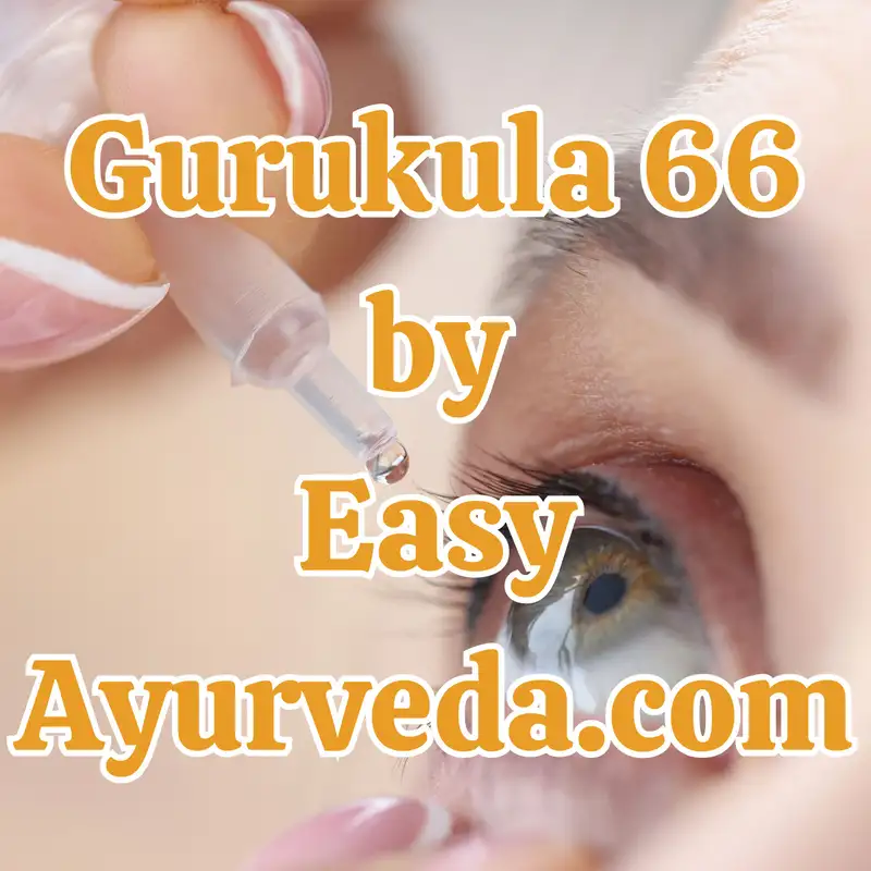 Gurukula 66: Aschottana – as a measure of First Aid in all the Netra Rogas