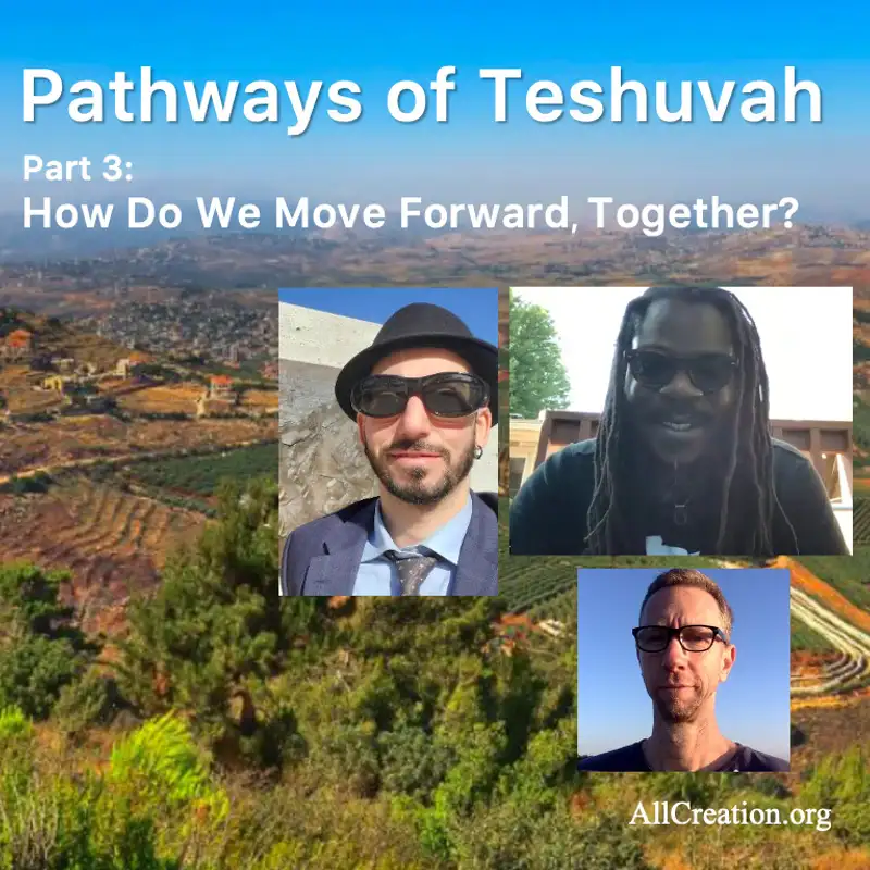 Pathways of Teshuvah, 3of3: How Do We Move Forward Together?