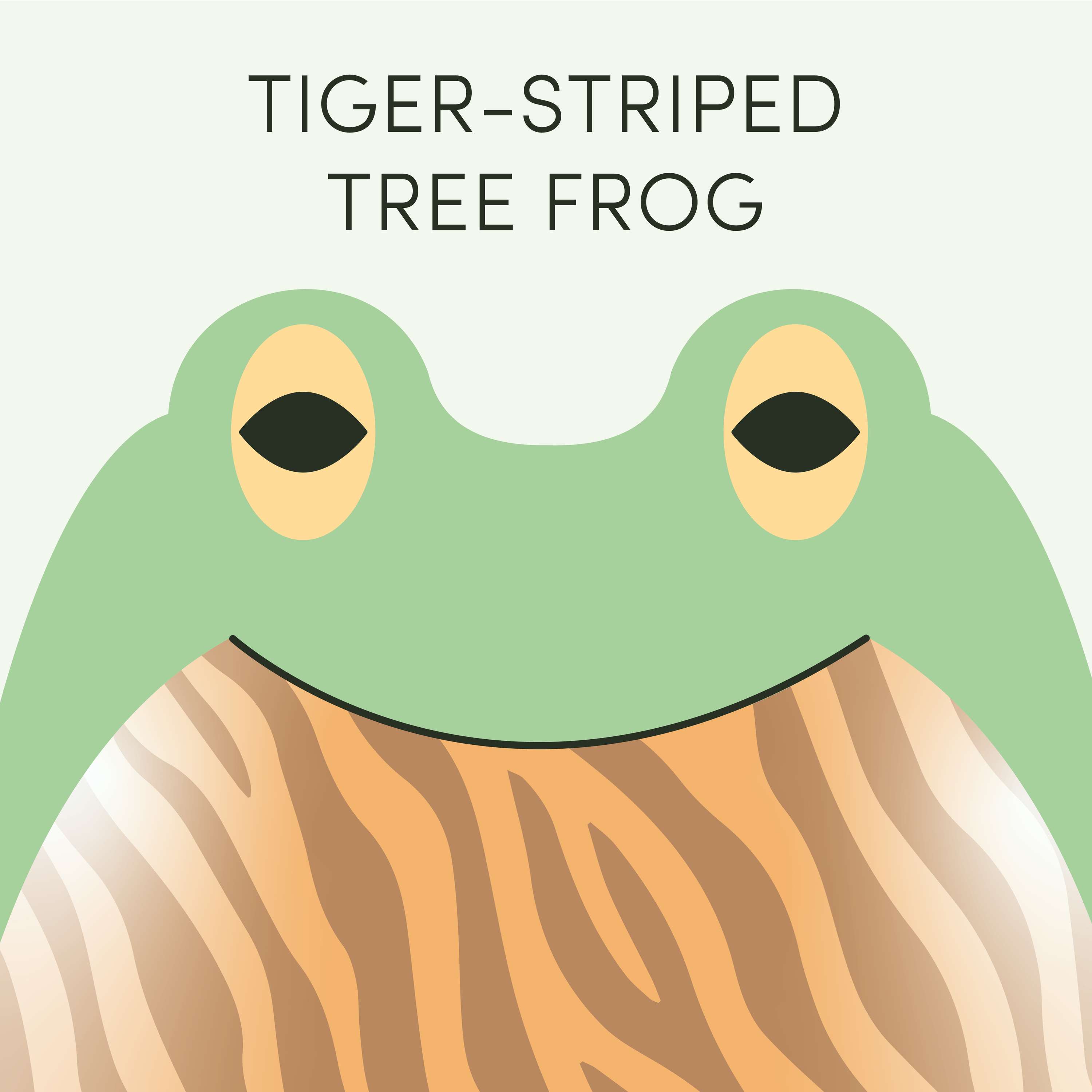 Tiger-striped Tree Frog | Week of April 10th