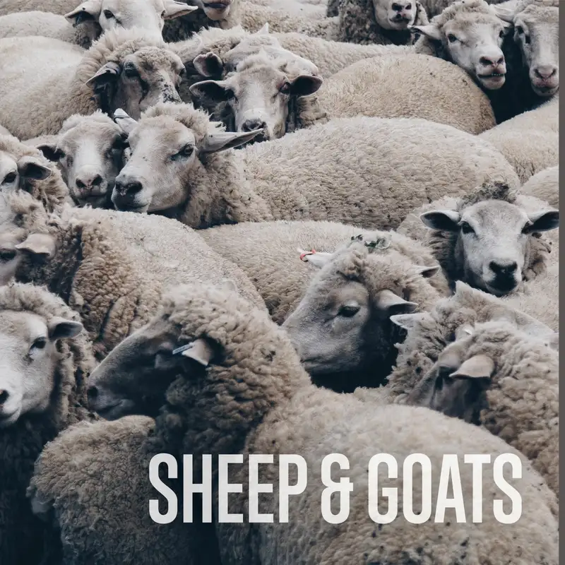 11.4.18 - The Story Teller - Sheep and Goats - Corey Errett