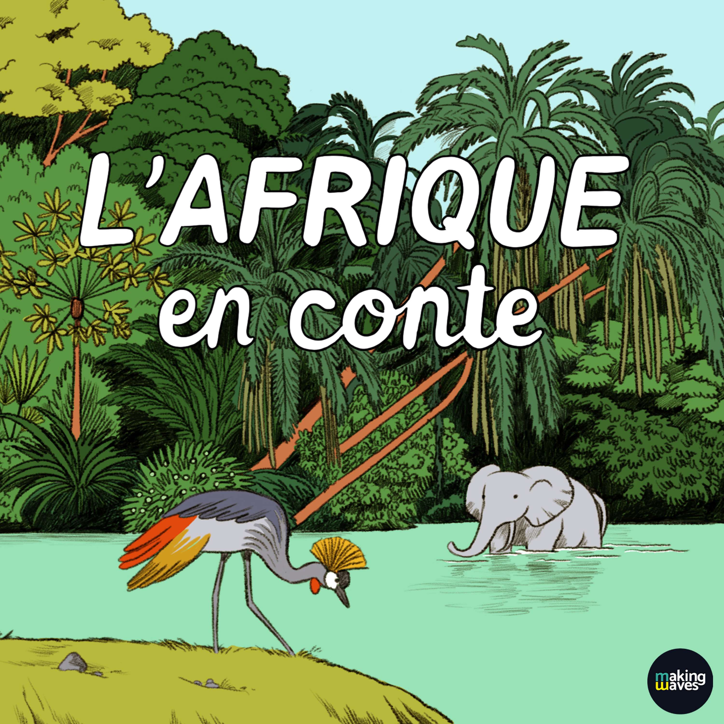 MAKING WAVES - Saison 2024/2025