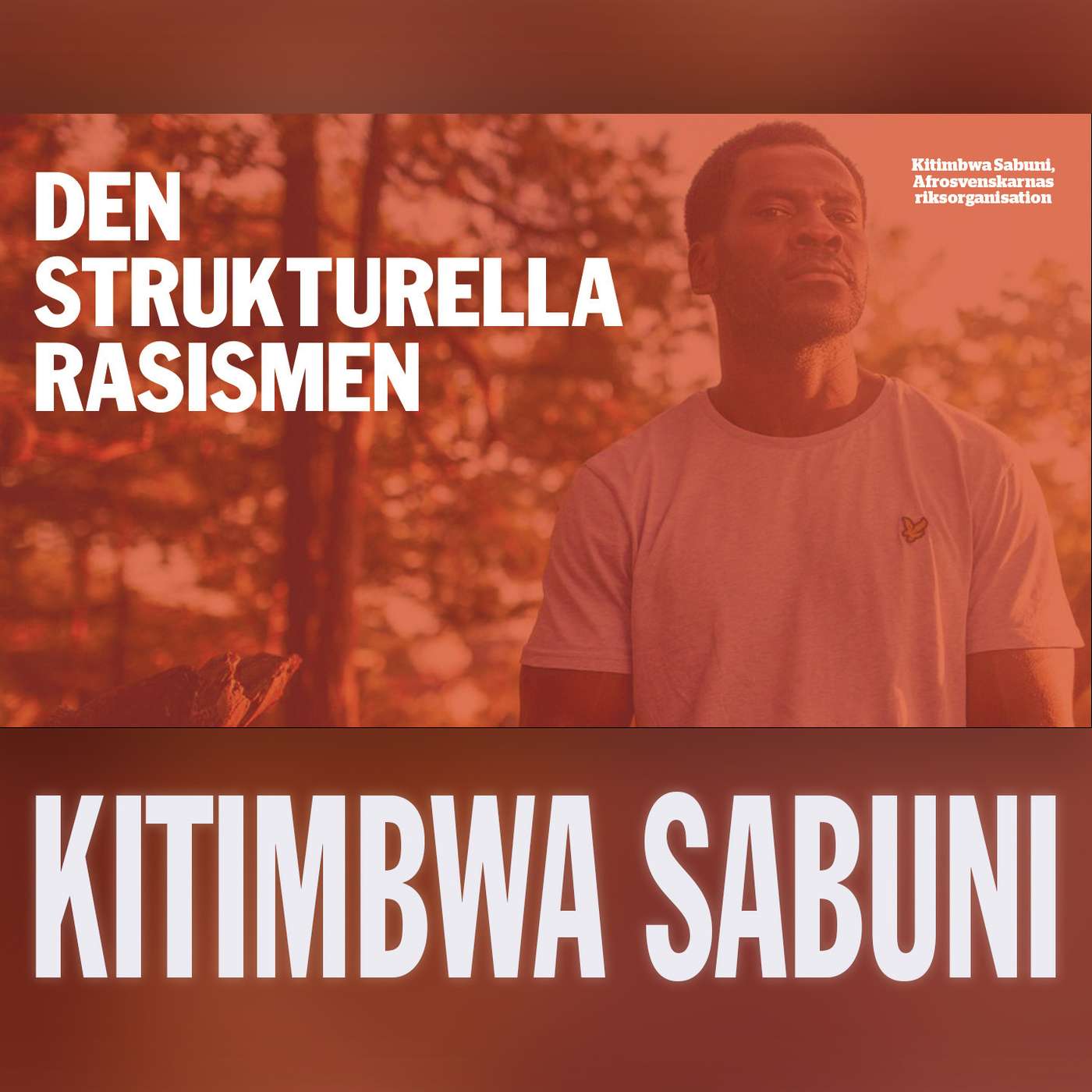 Om strukturell rasism med Kitimbwa Sabuni Om strukturell rasism med Kitimbwa Sabuni