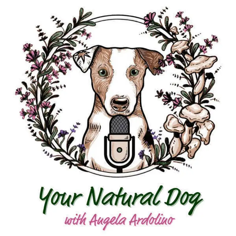 28. Apple Cider Vinegar for Dogs with Janine Ling