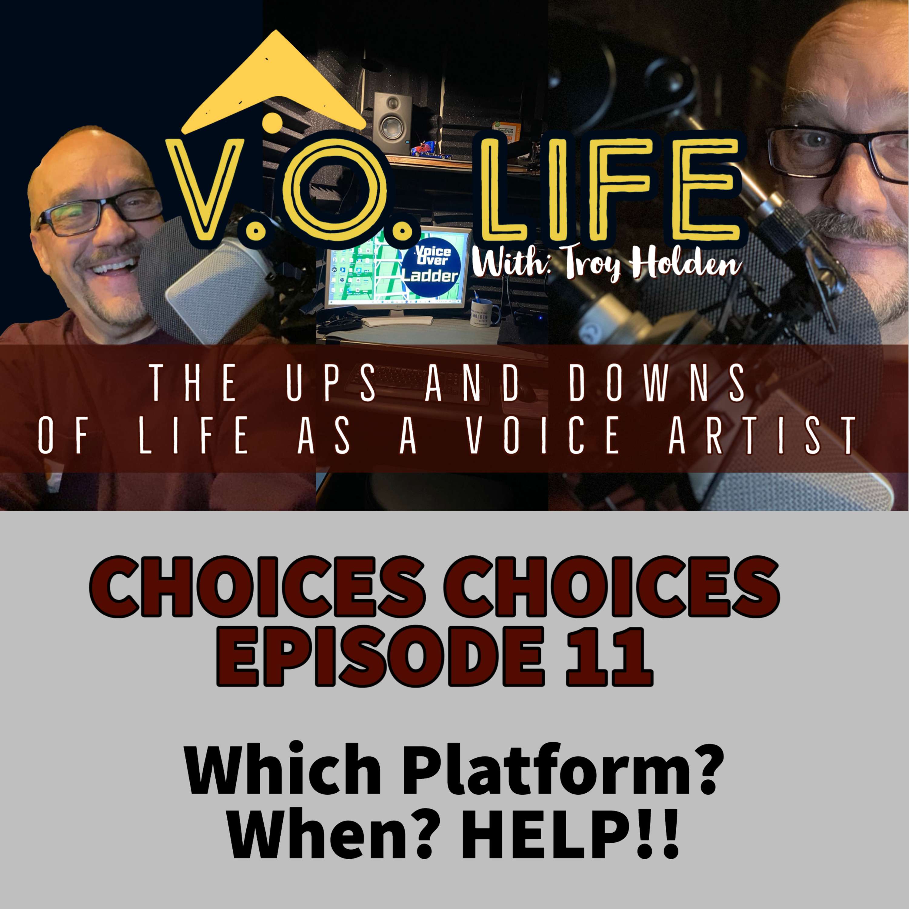 The VO Life