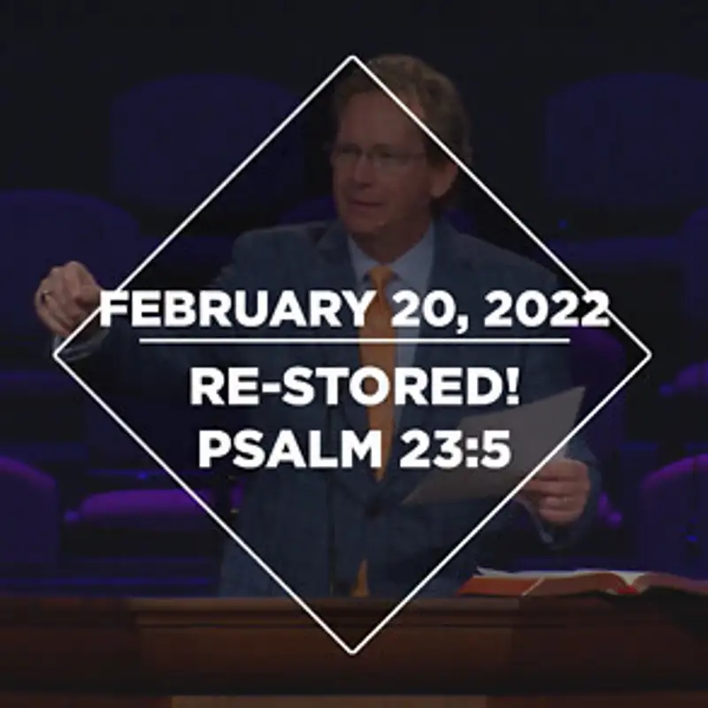 Re-Stored! (02-20-22)
