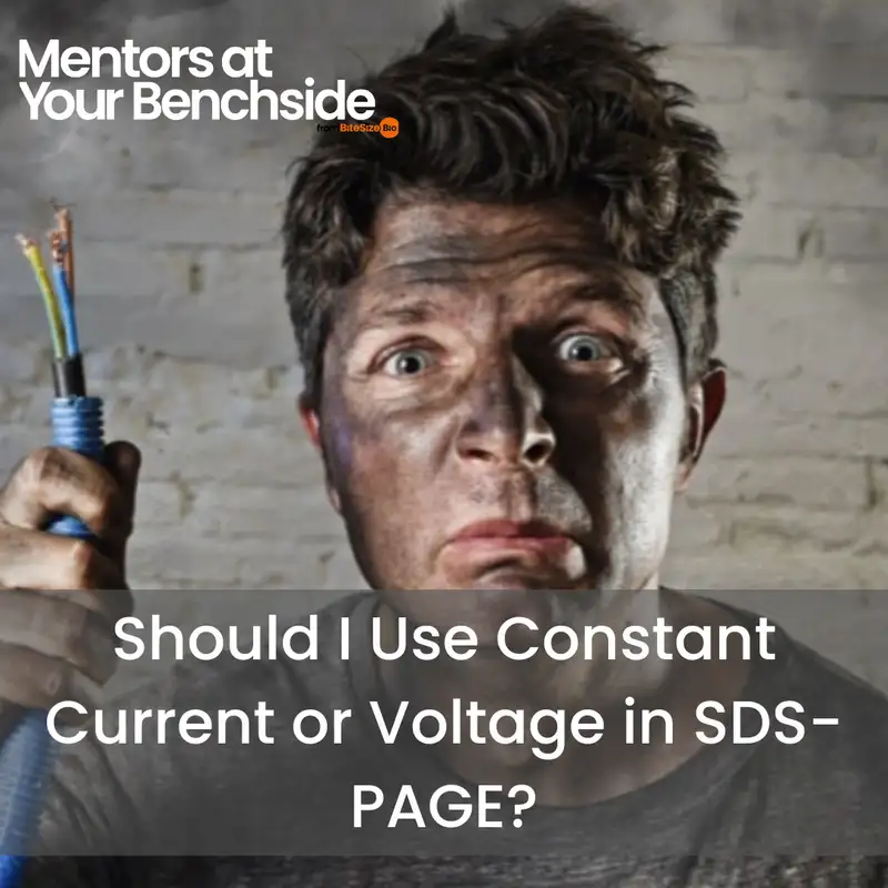 Constant Current or Voltage in SDS-PAGE: The Great Debate
