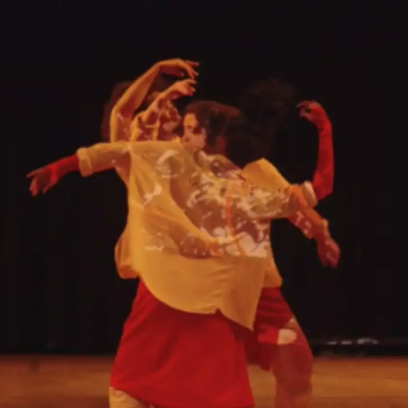 Seeding stories of diaspora