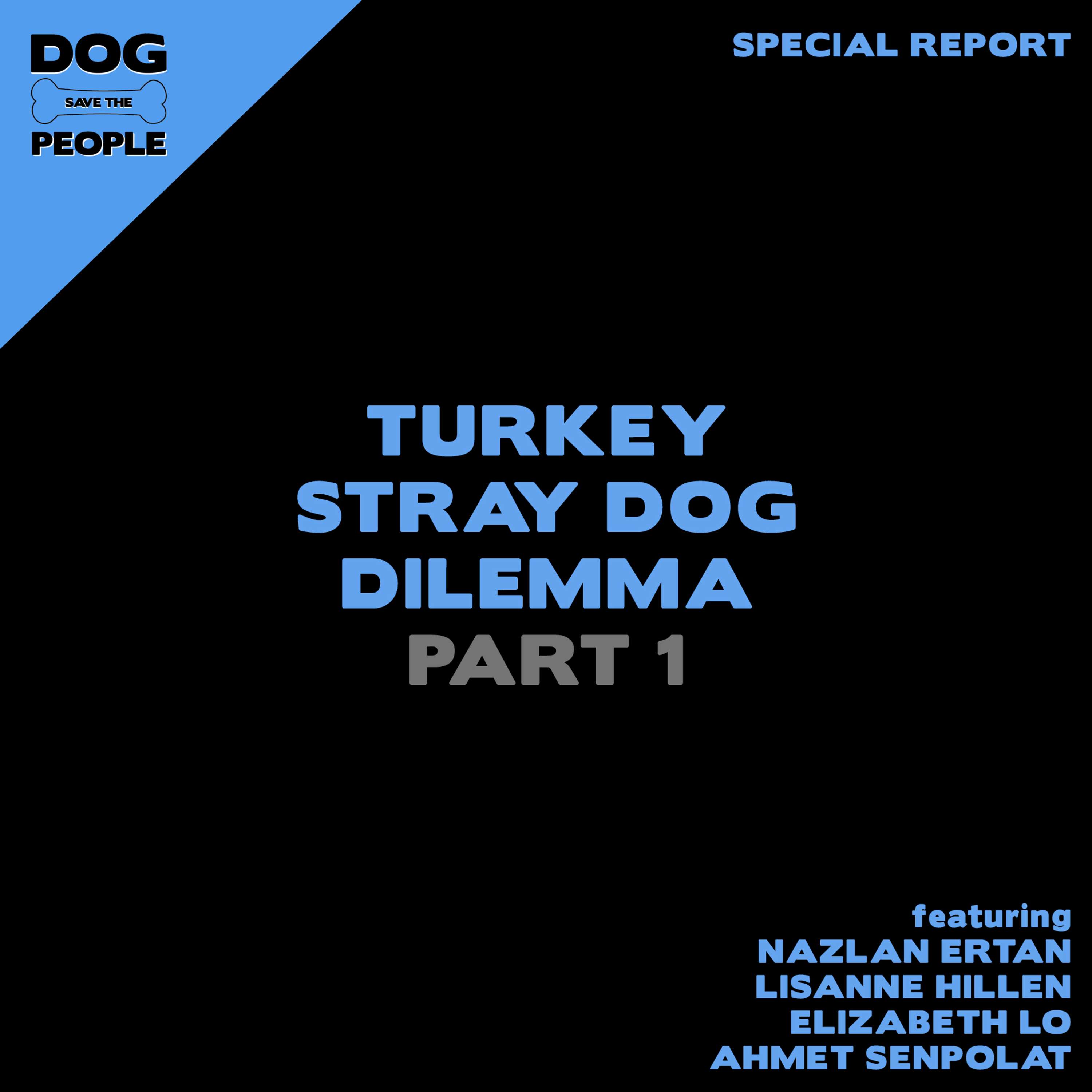 Special Report: Turkey Stray Dog Dilemma | Pt. 1