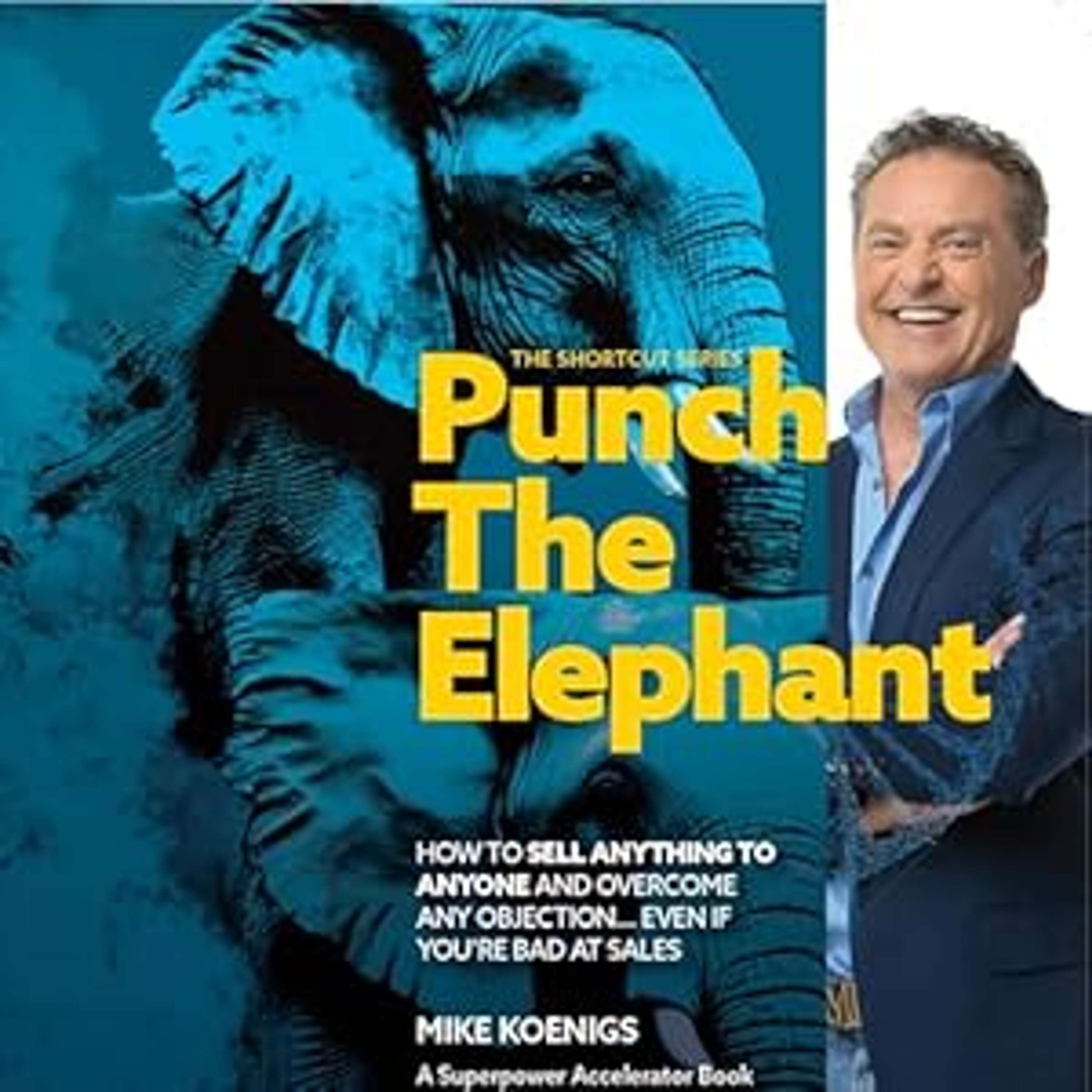 Punch The Elephant: How To Sell Anything To Anyone And Overcome Any Objection... Even If You\'re Bad At Sales
