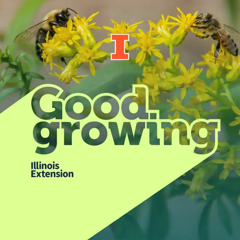 Ep. 114 - Late blooming plants | #goodgrowing