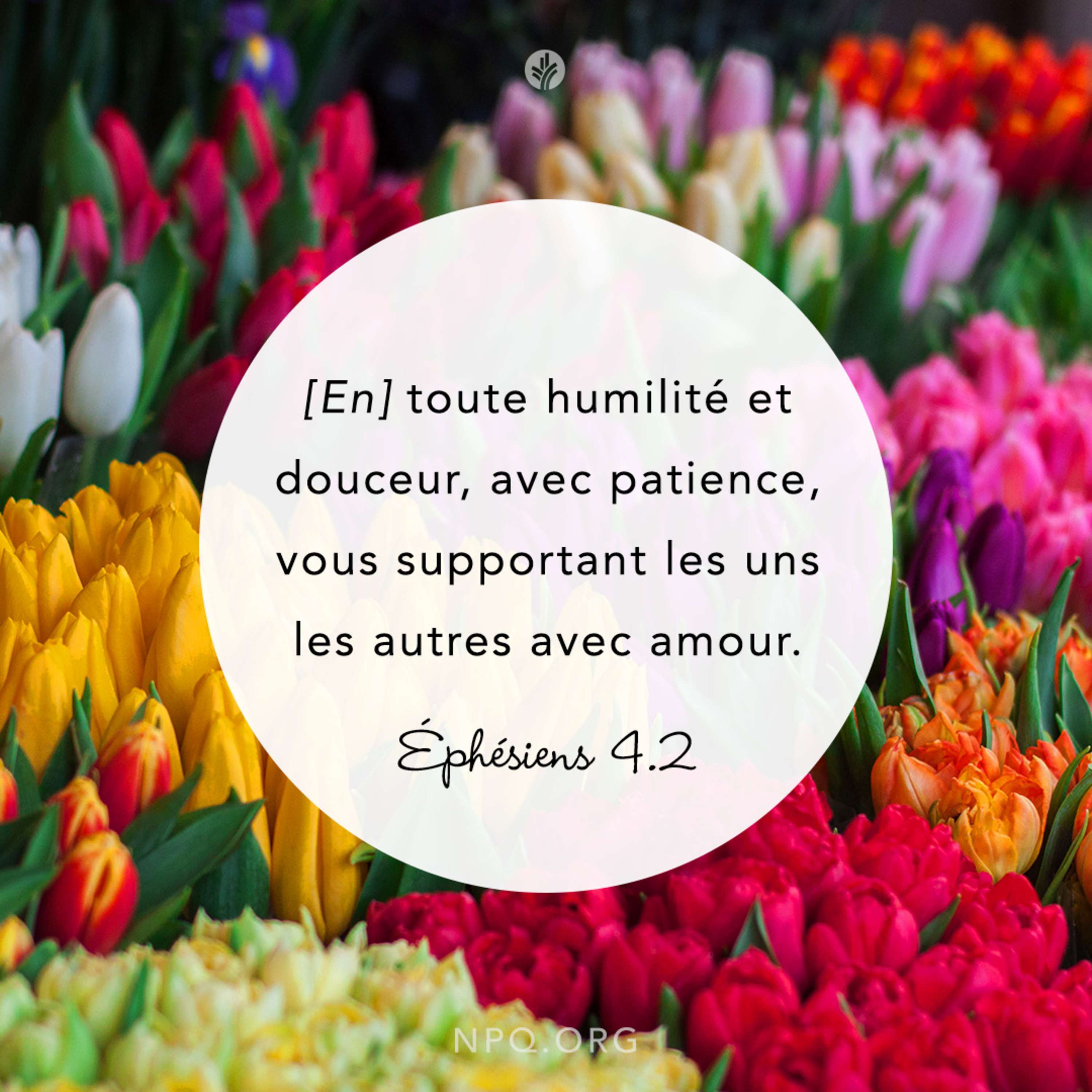 Notre Pain Quotidien podcast