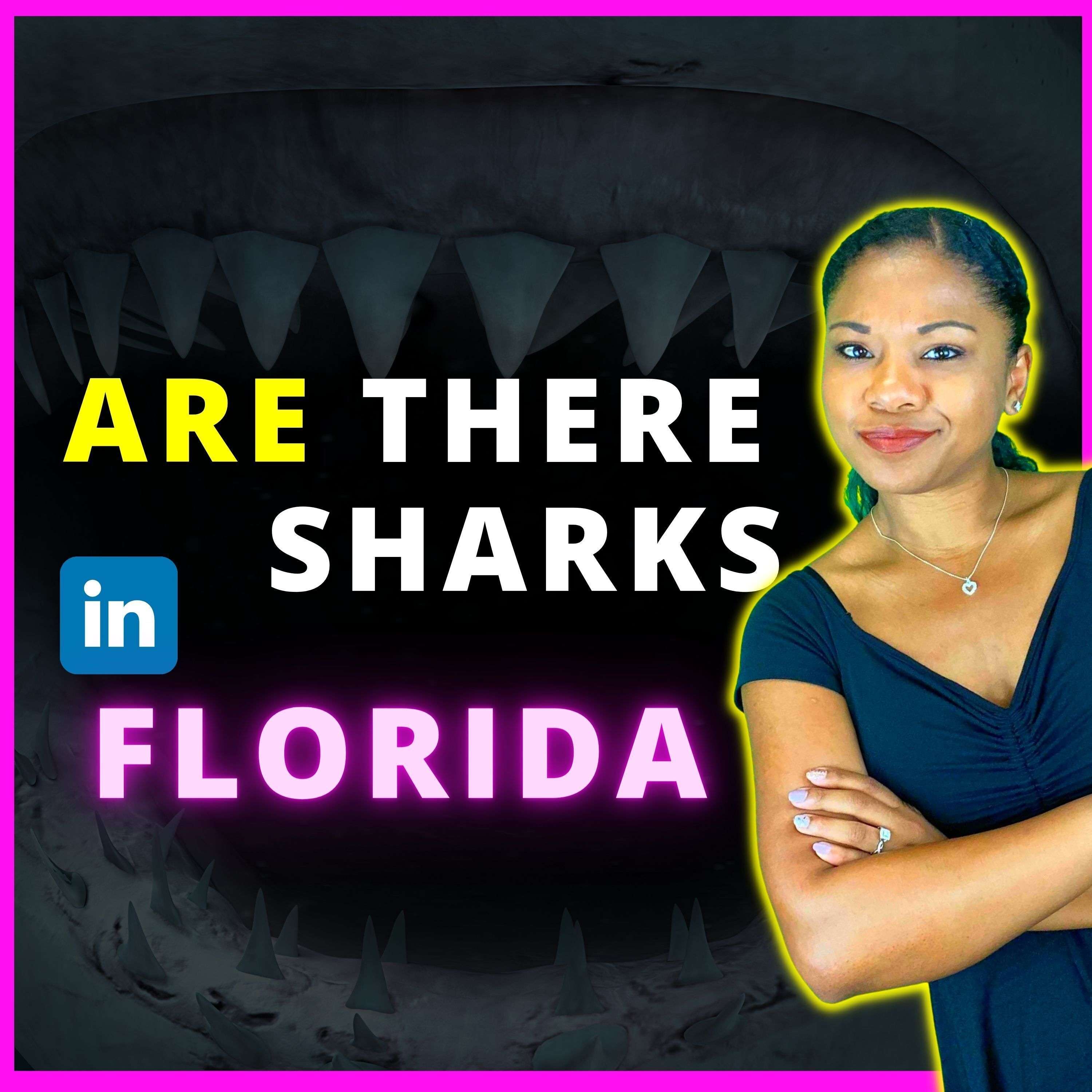 Are There Sharks in Florida?