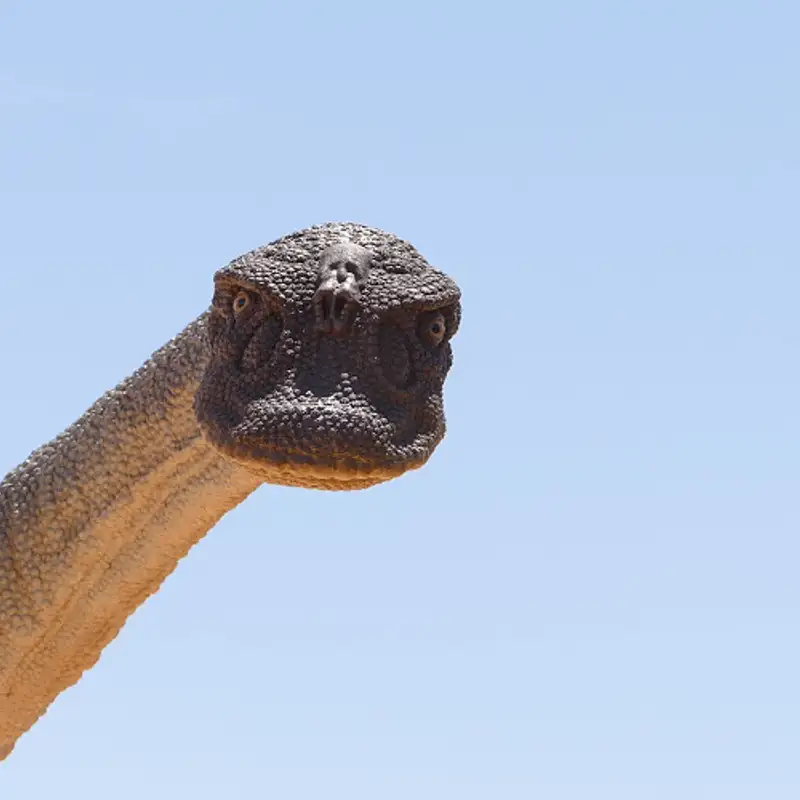 Le réchauffement climatique vue d'un dinosaure