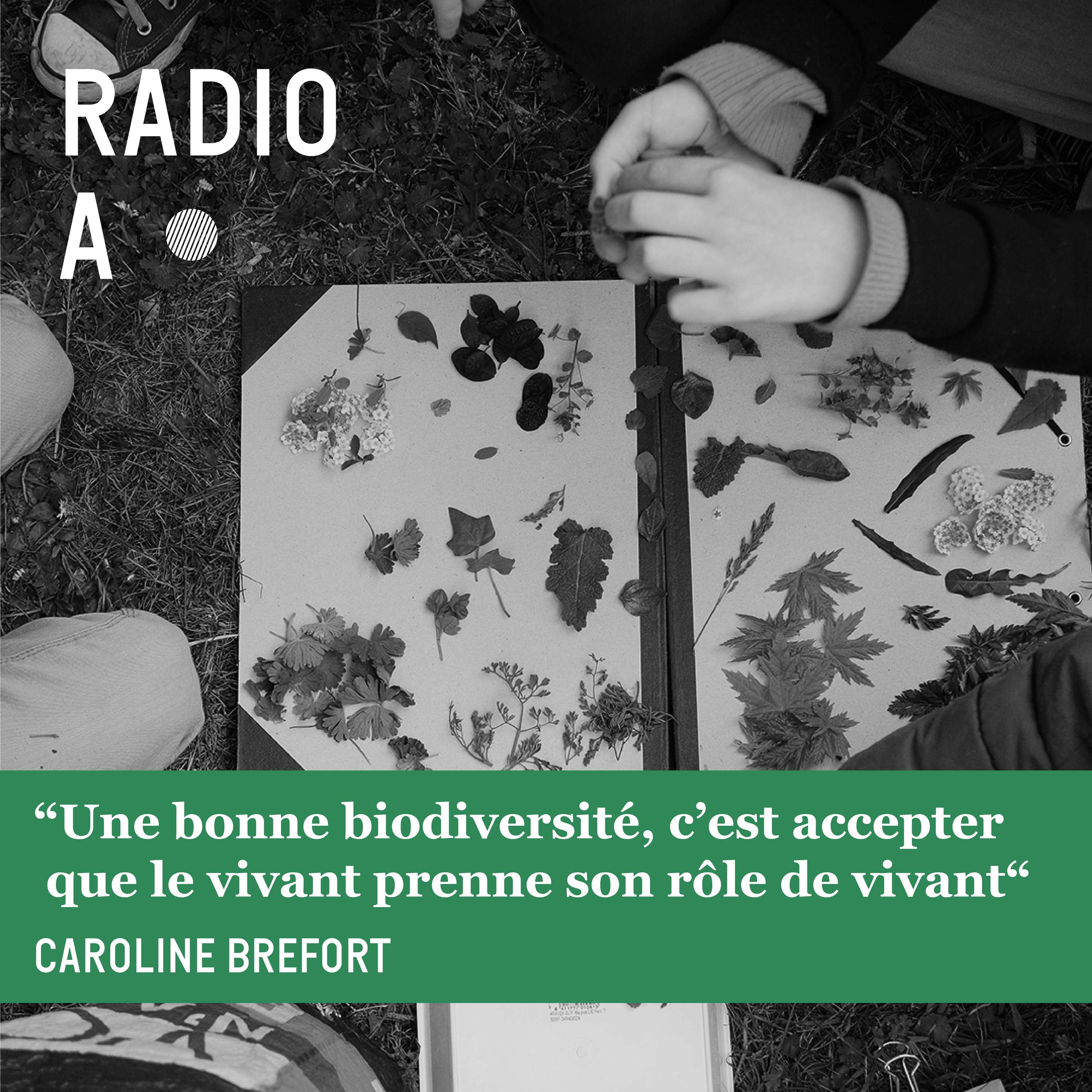 “Une bonne biodiversité c’est accepter que le vivant prenne son rôle de vivant“ - Caroline Brefort