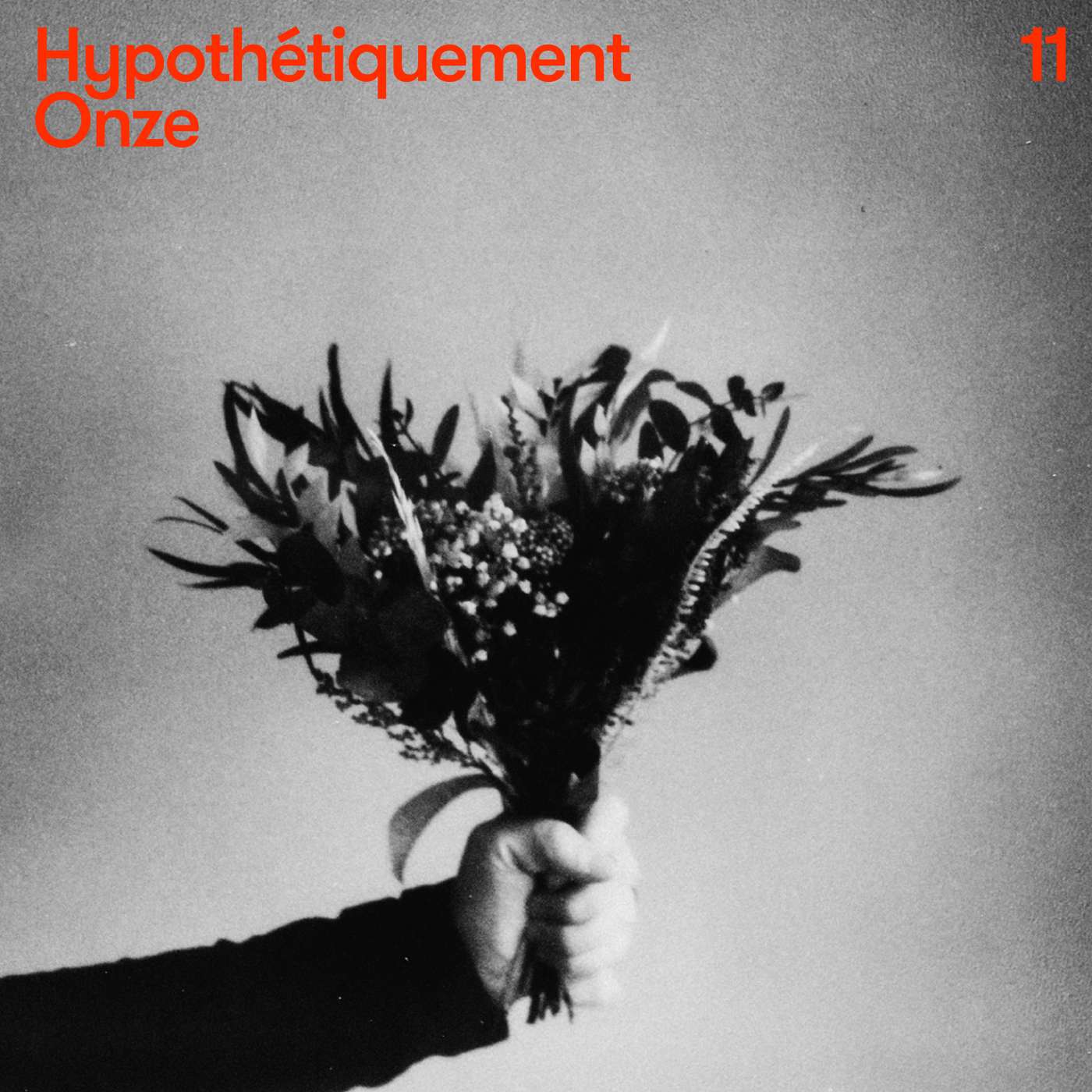 Épisode 2 - Hypothétiquement Onze episode artwork