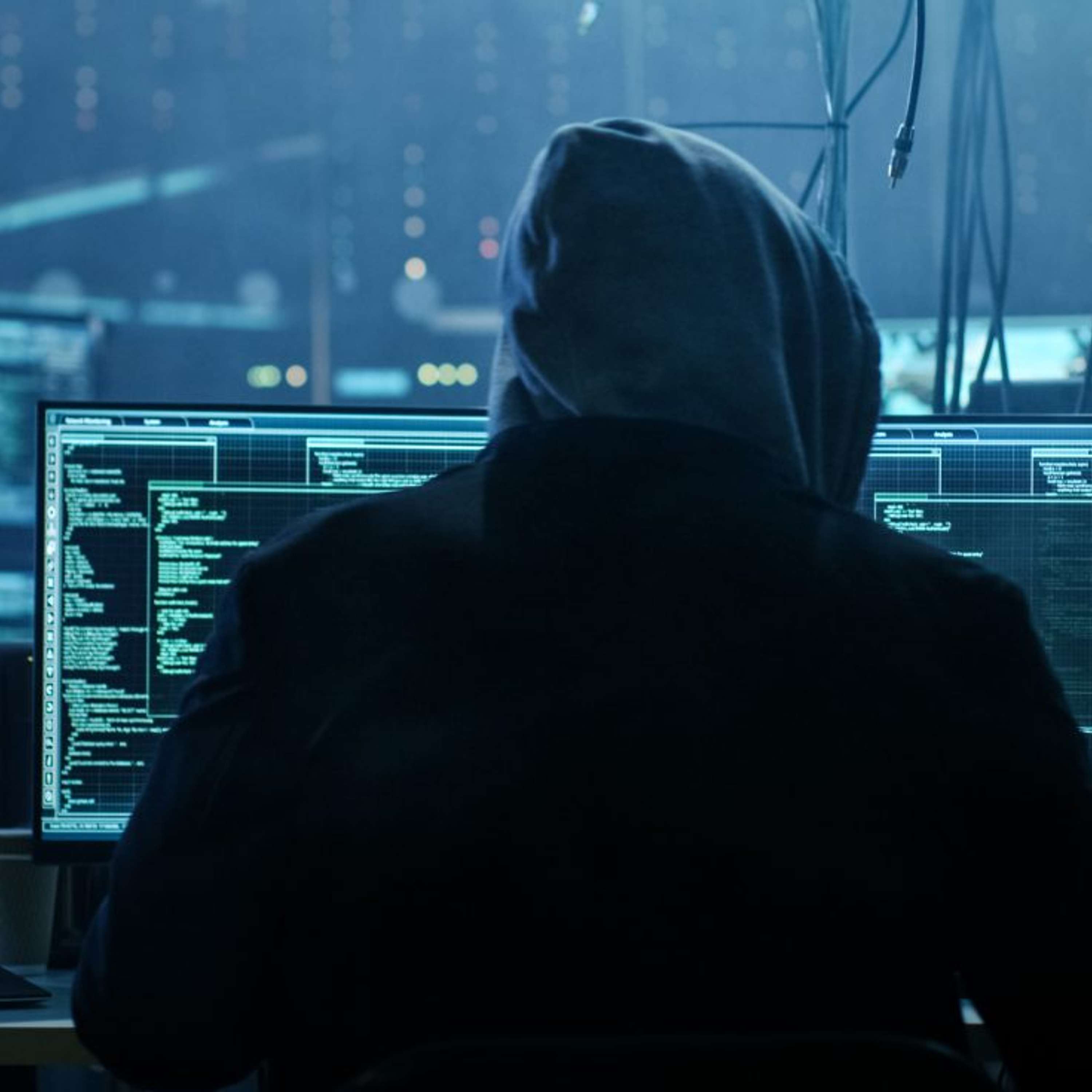 Cyber Scum Are Free To Exploit Vulnerabilities Without Fear