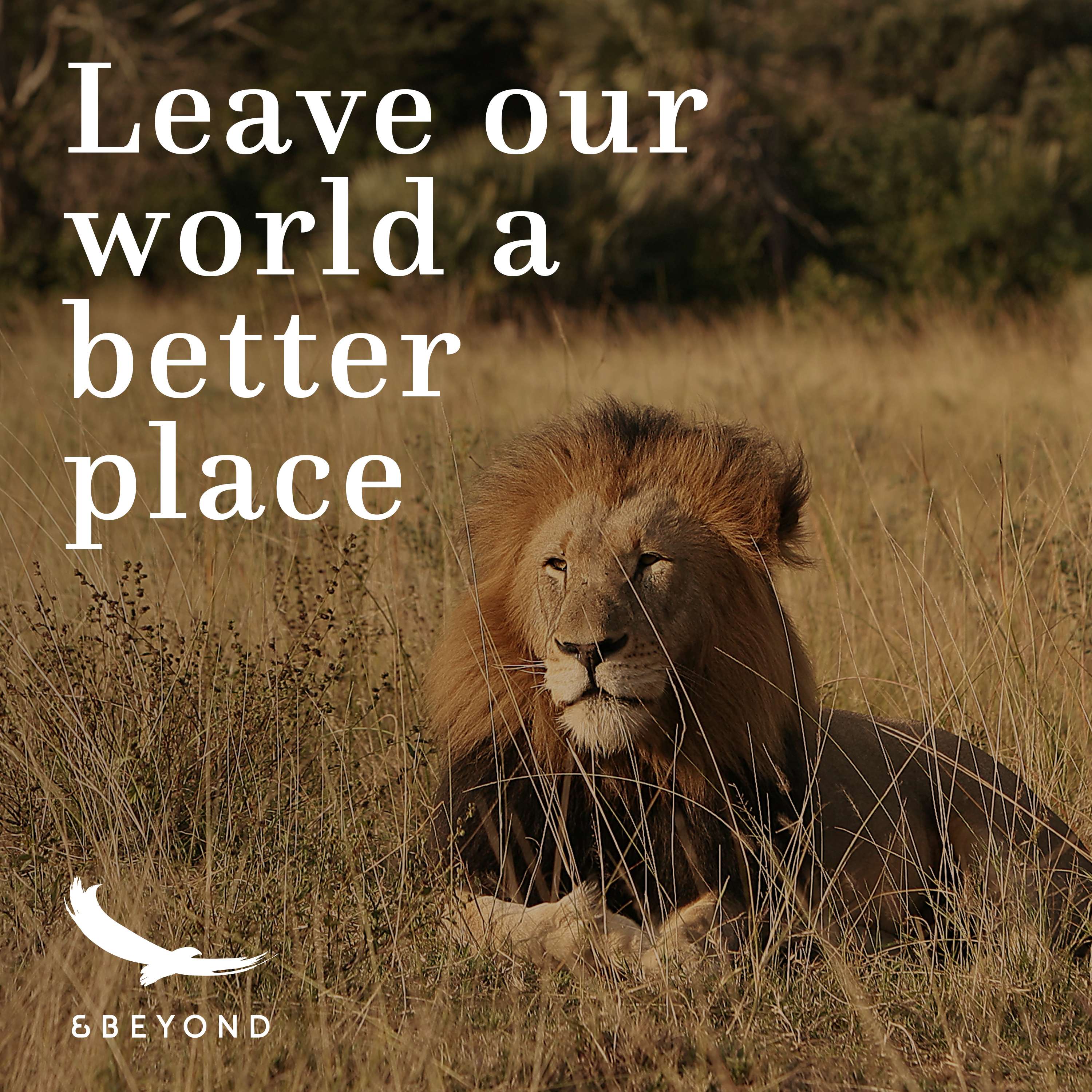 Better World