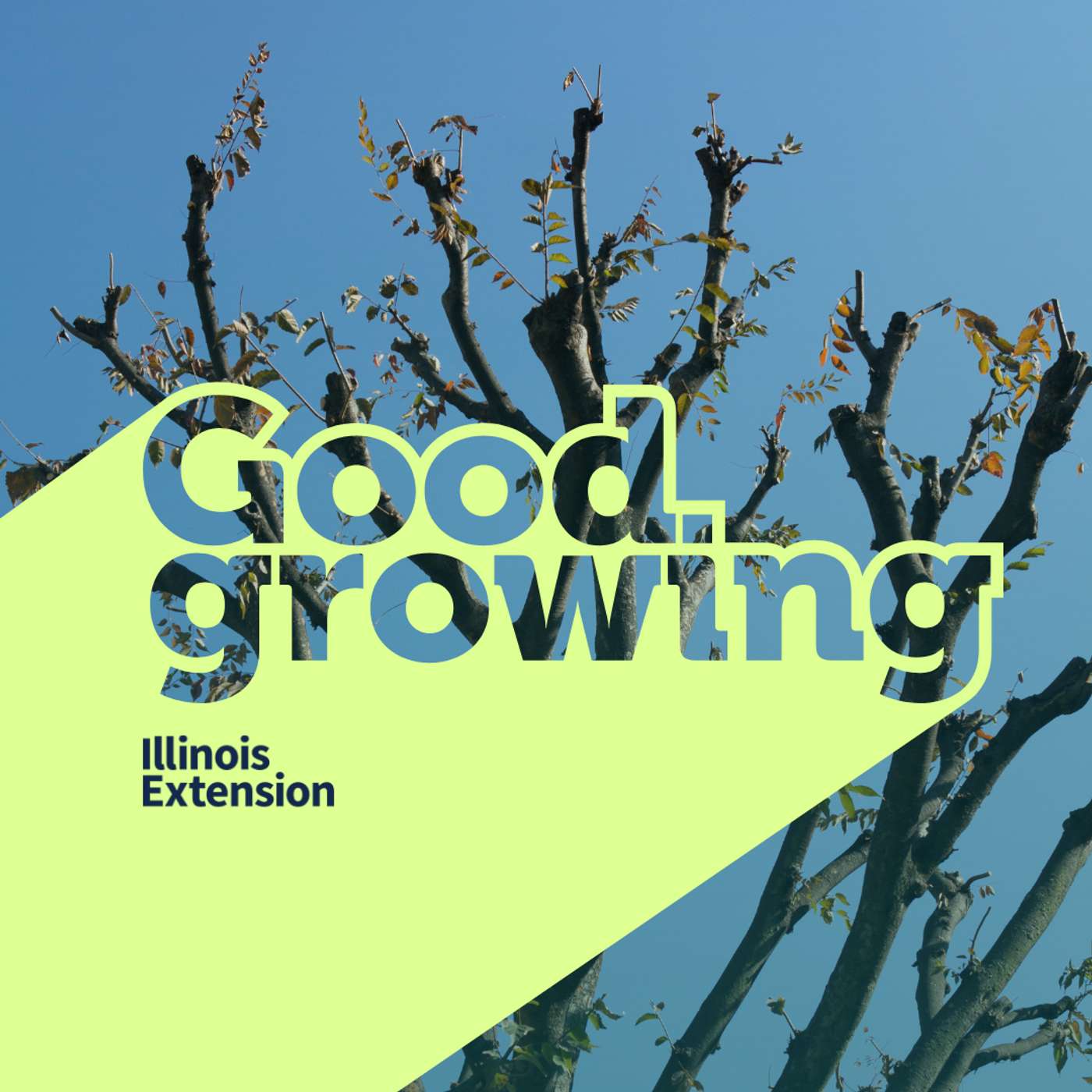 Good Growing