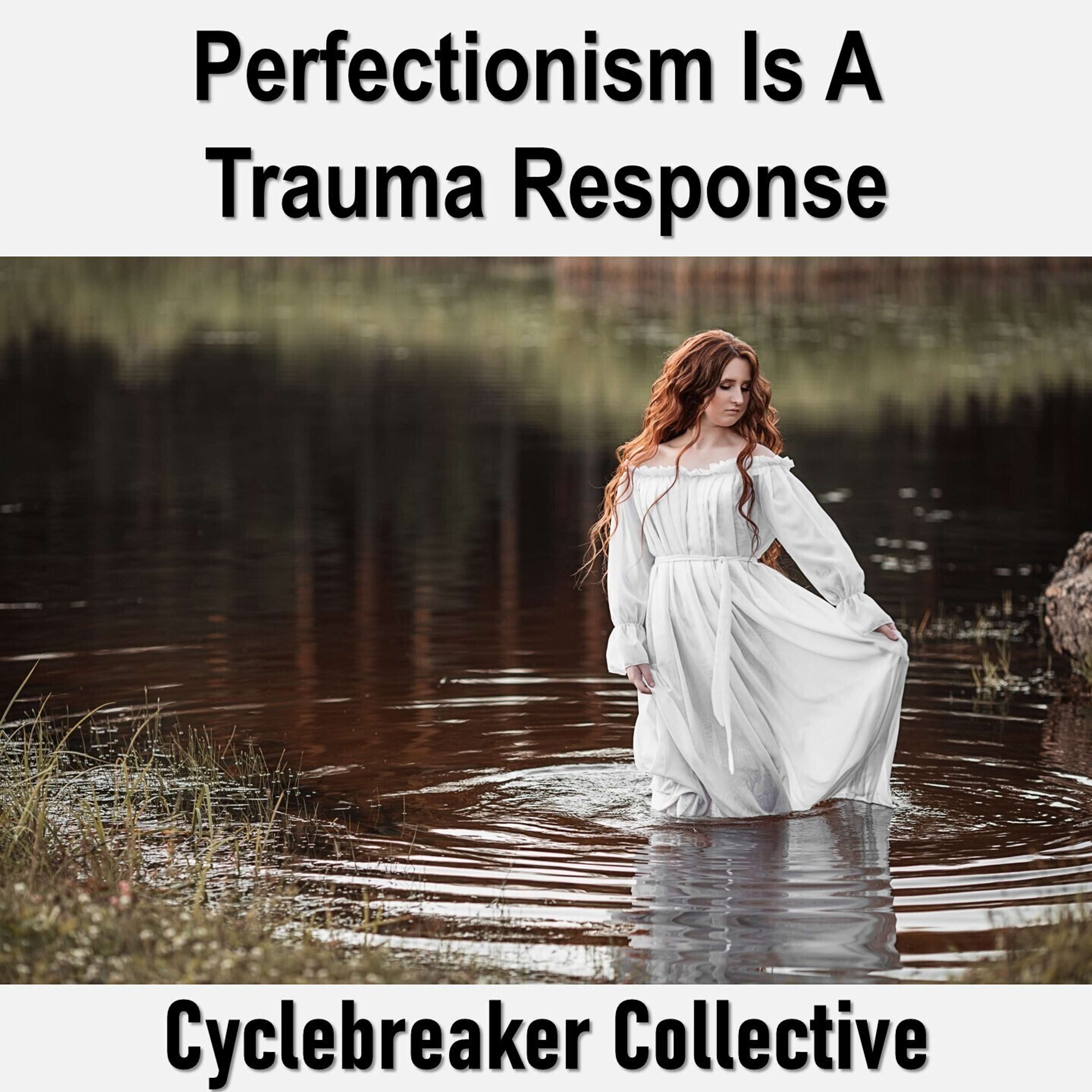 Trigger Proof Transmissions (Cyclebreaker Collective)