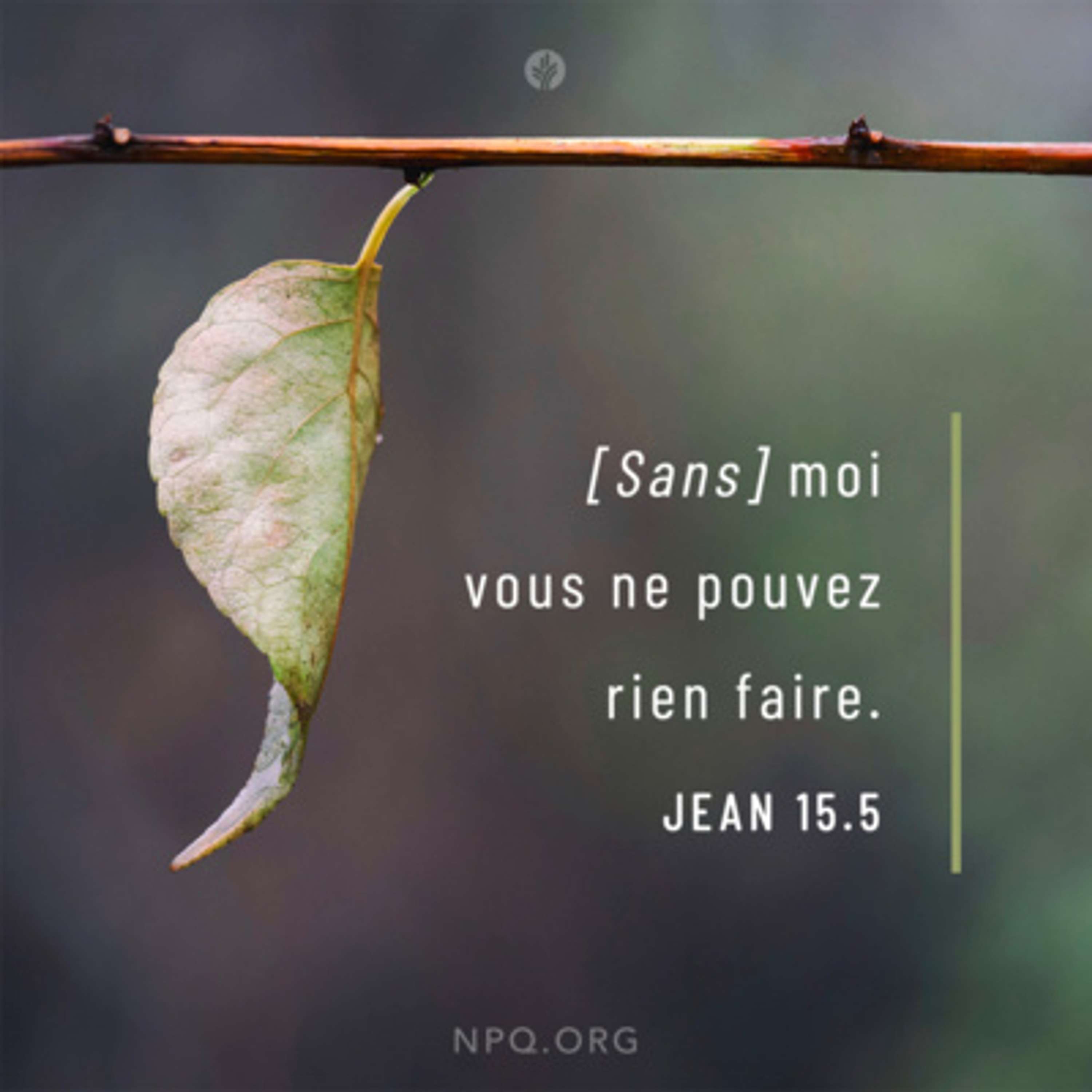Notre Pain Quotidien podcast