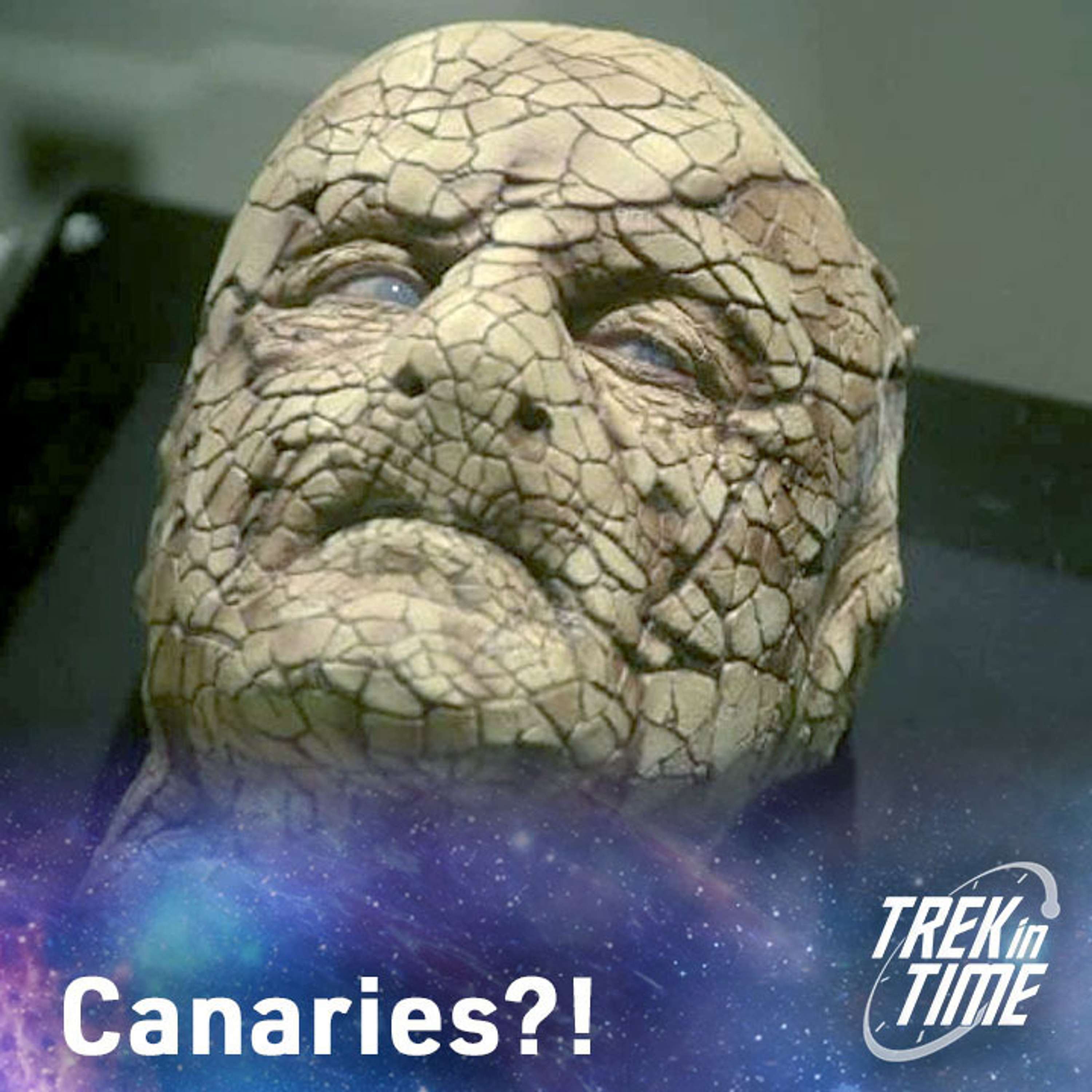 Trek In Time