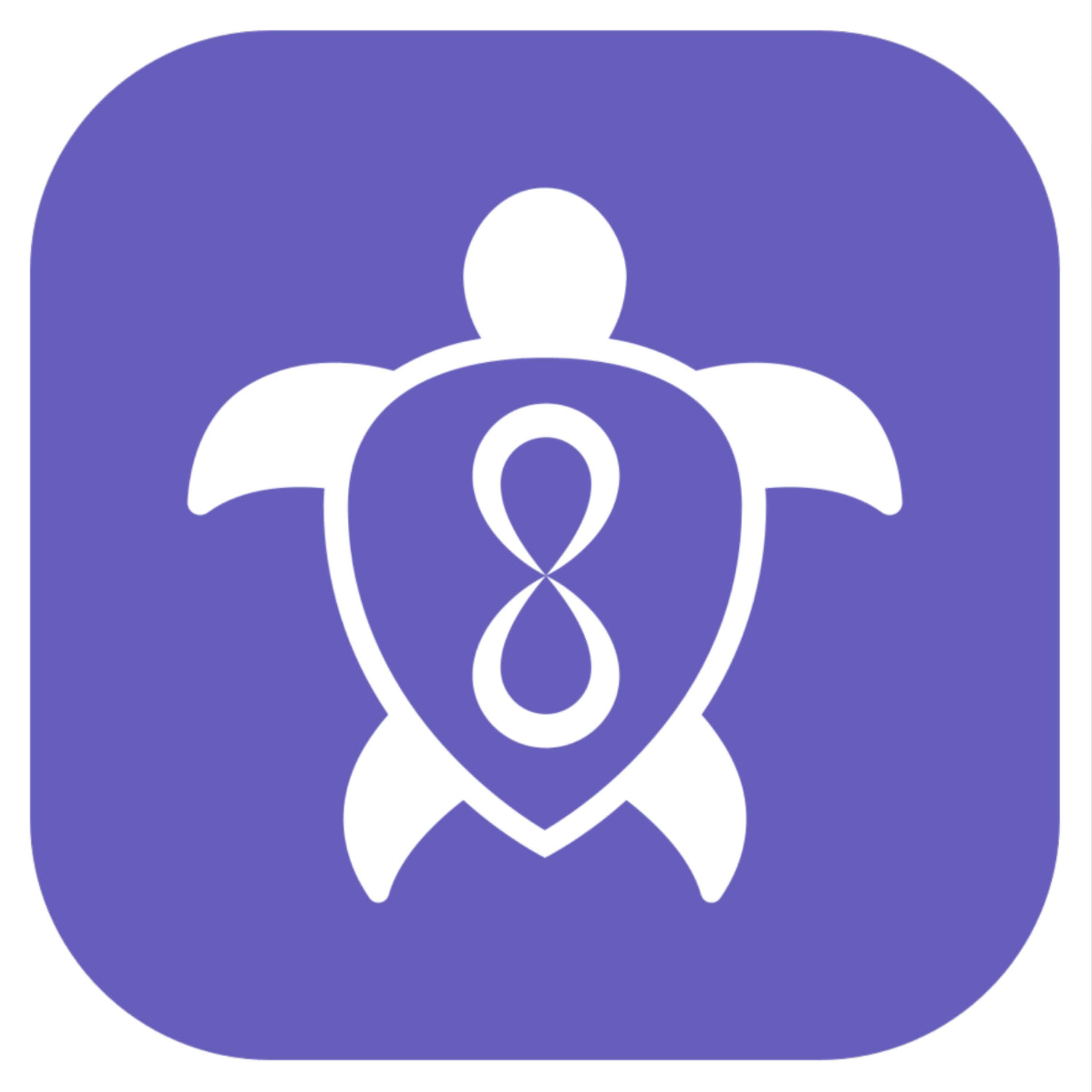 Turtle Method™ 14-Day Masterclass
