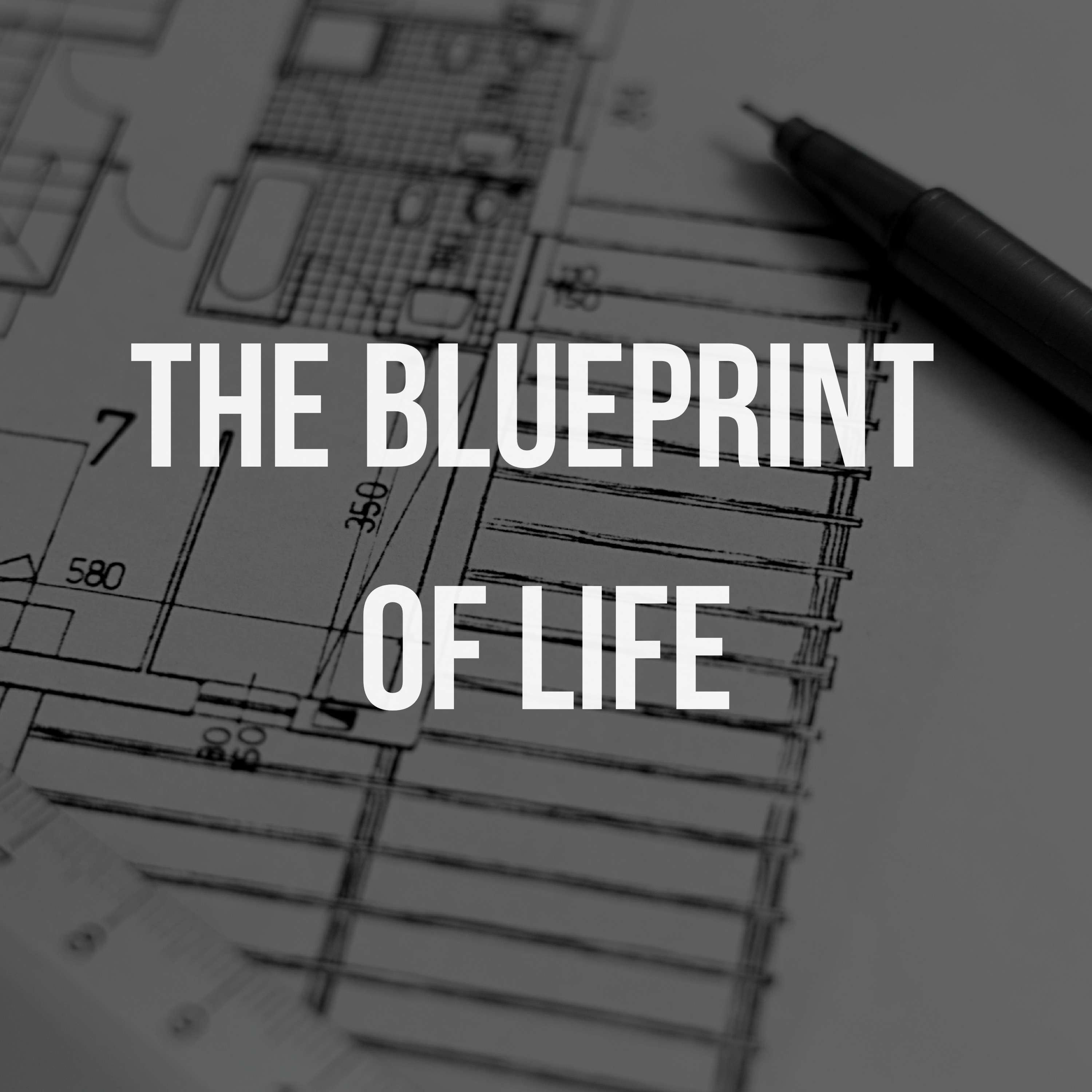 50: The Blueprint of Life