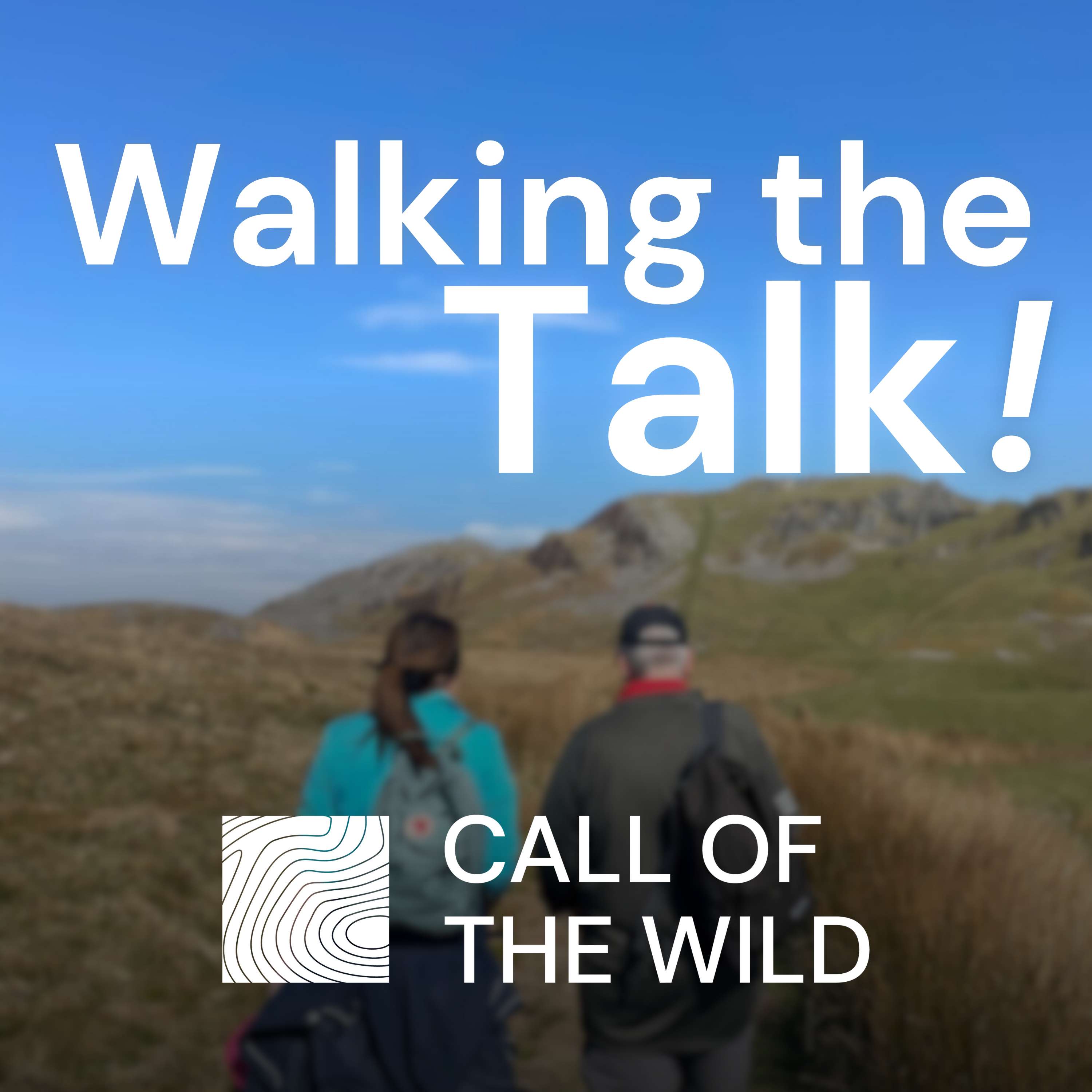 Walking the Talk