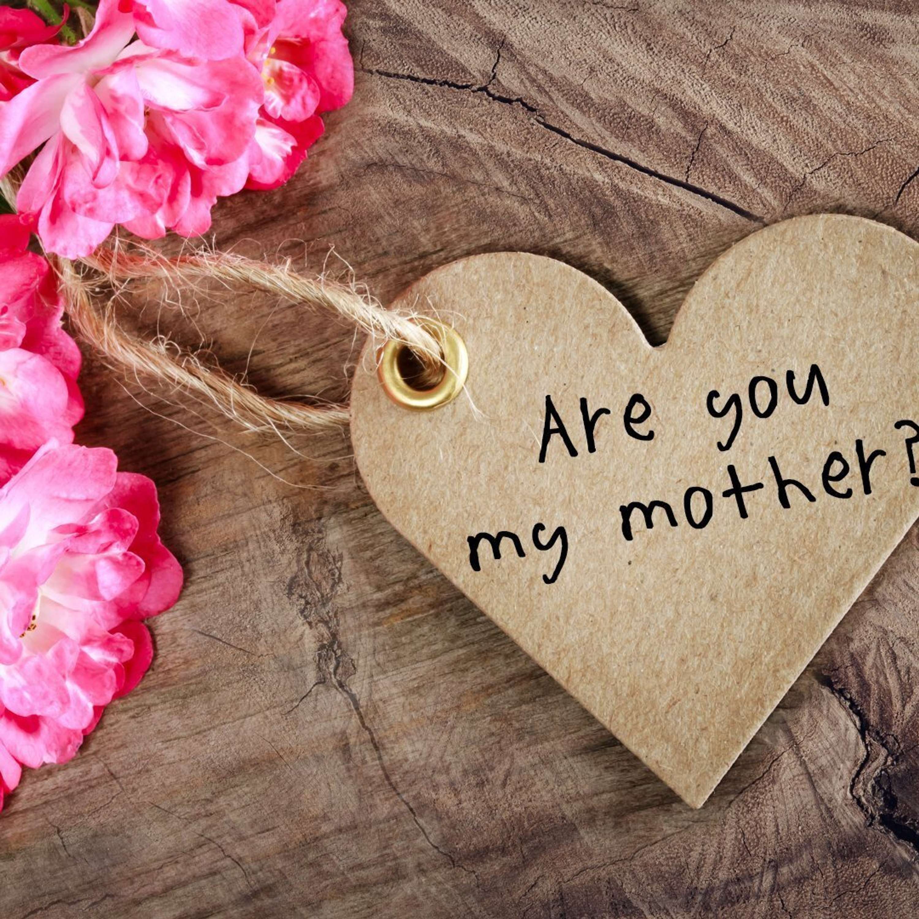 Are You My Mother?