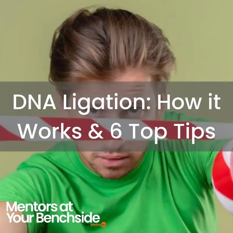 DNA Ligation: How it Works & 6 Top Tips
