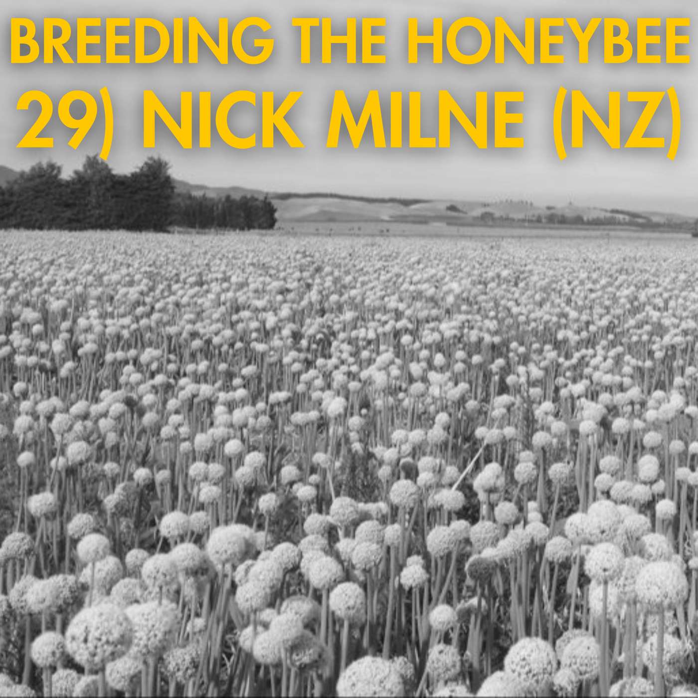 29) Nick Milne (NZ)