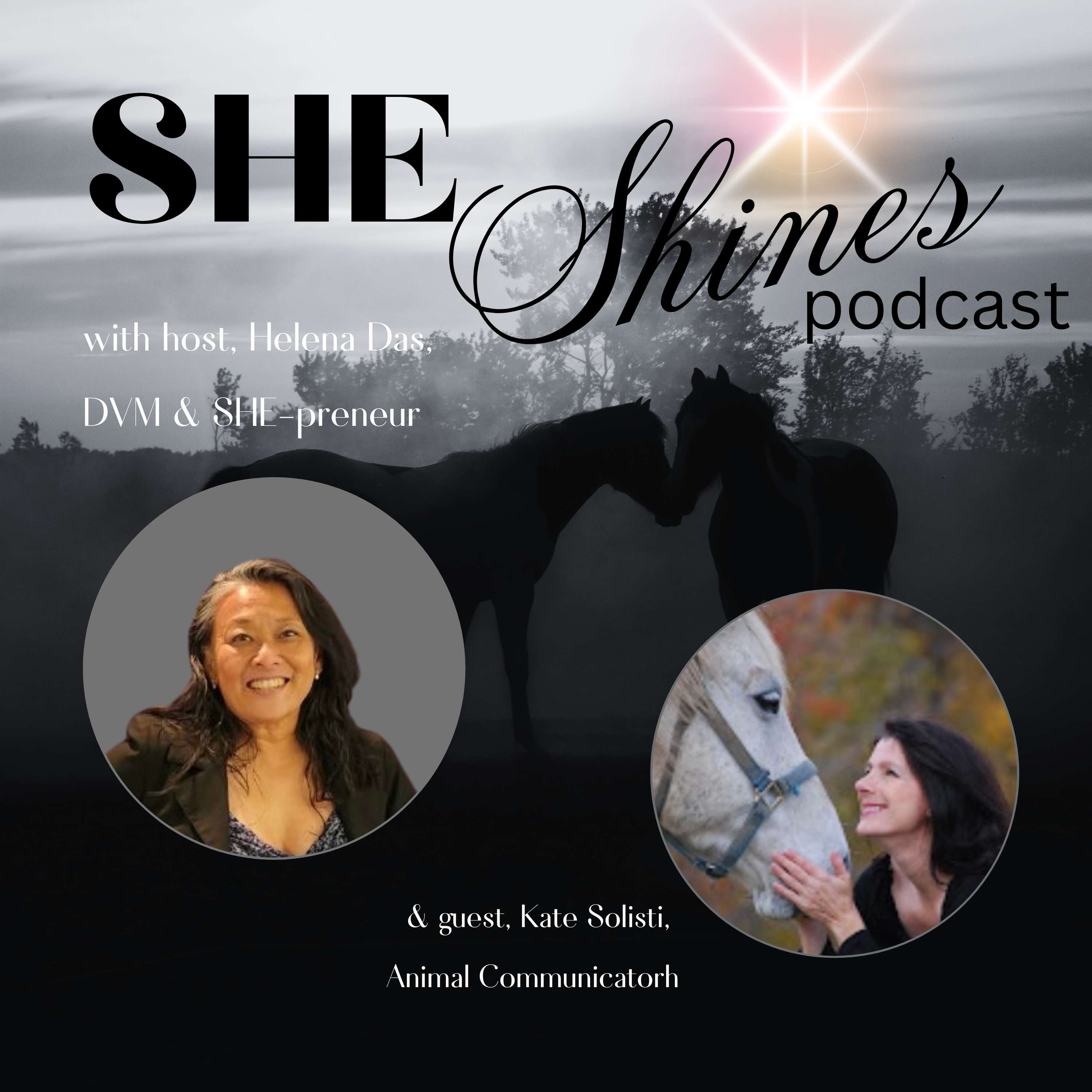 SHE Shines:  Helping \'Dark Horse-preneurs\' Unlock their Light & Get Paid to Shine
