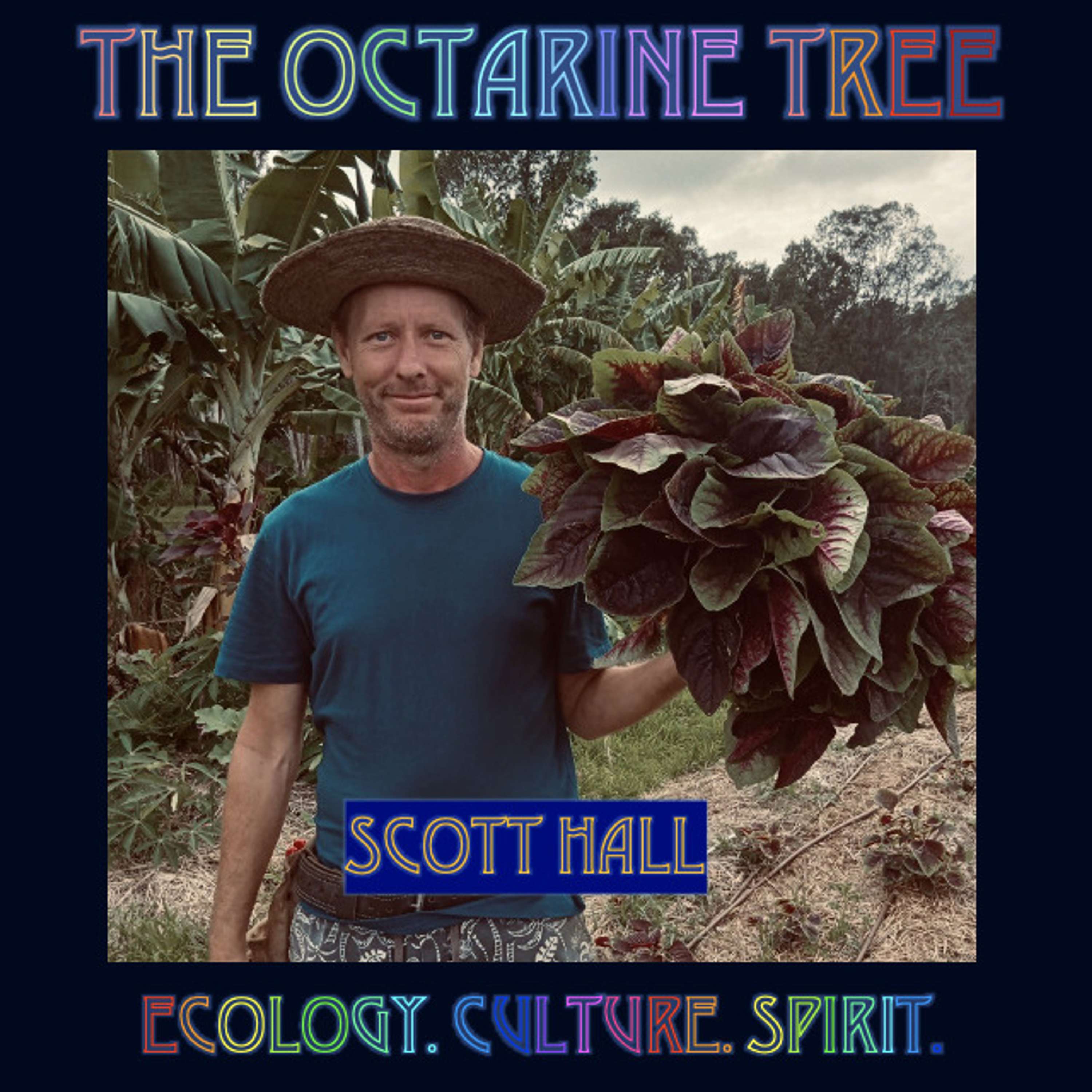 9: Scott Hall | Syntropic Agriculture