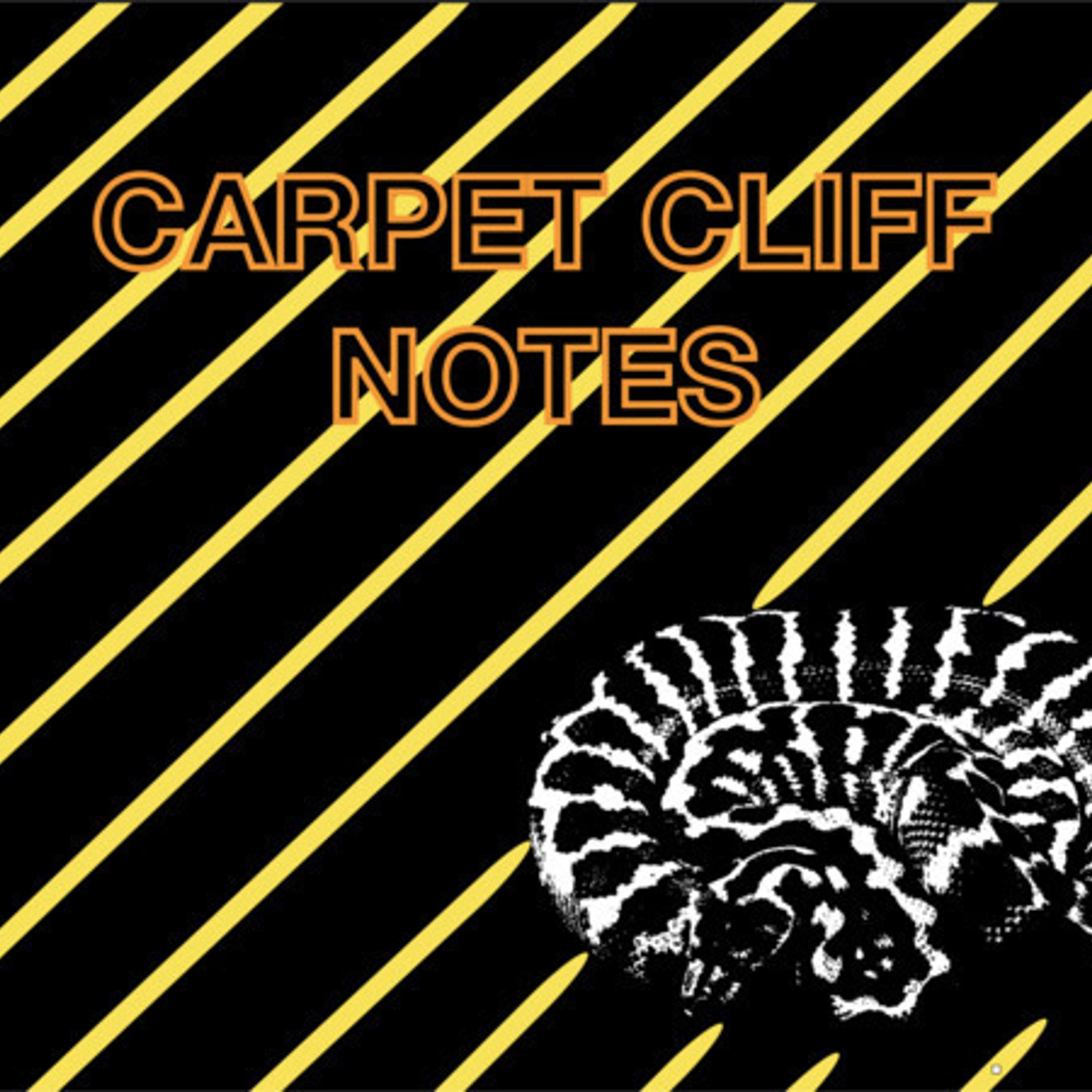 CARPET PYTHON CLIFF NOTES: #2 Coastal Carpet Python Base Morphs