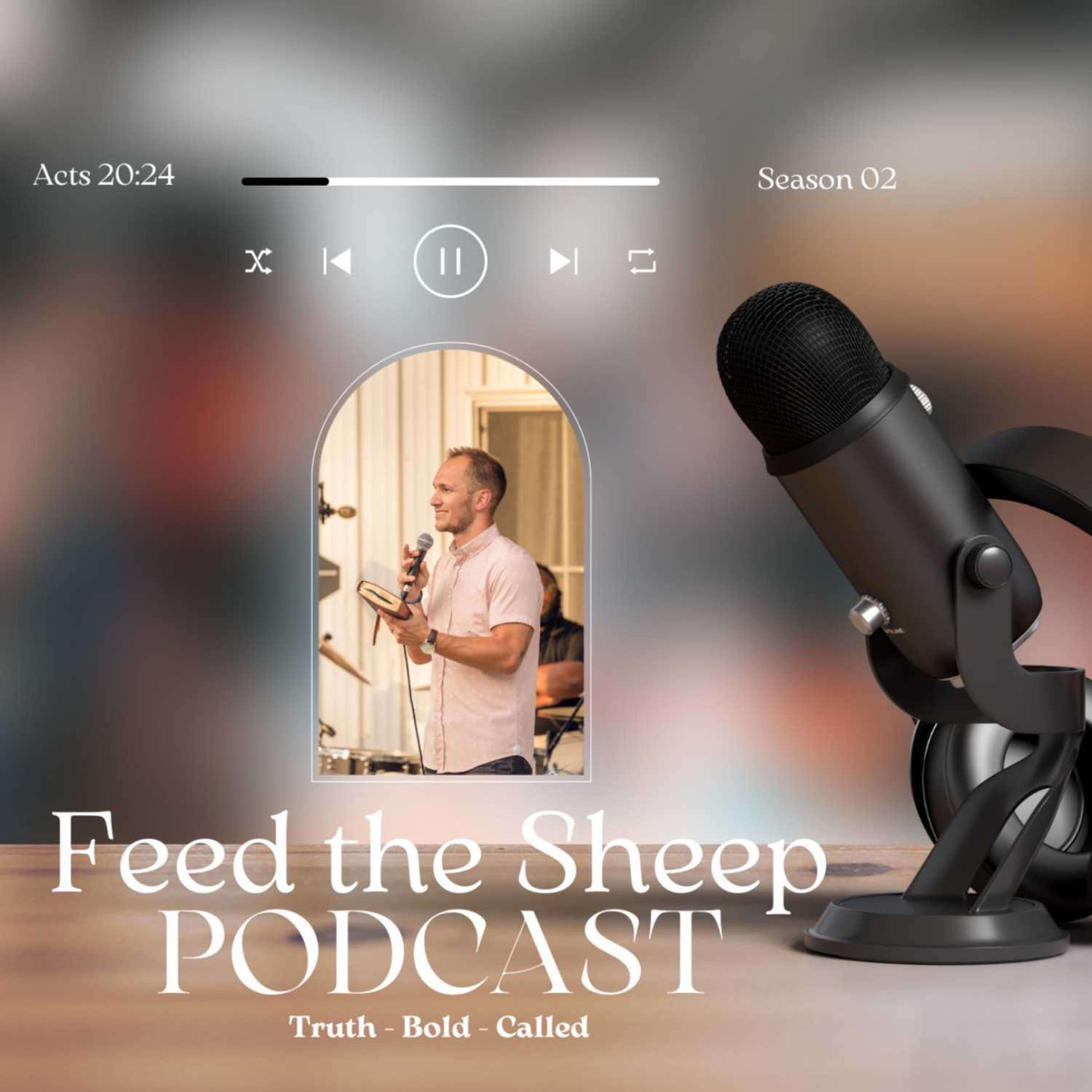 Feed the Sheep