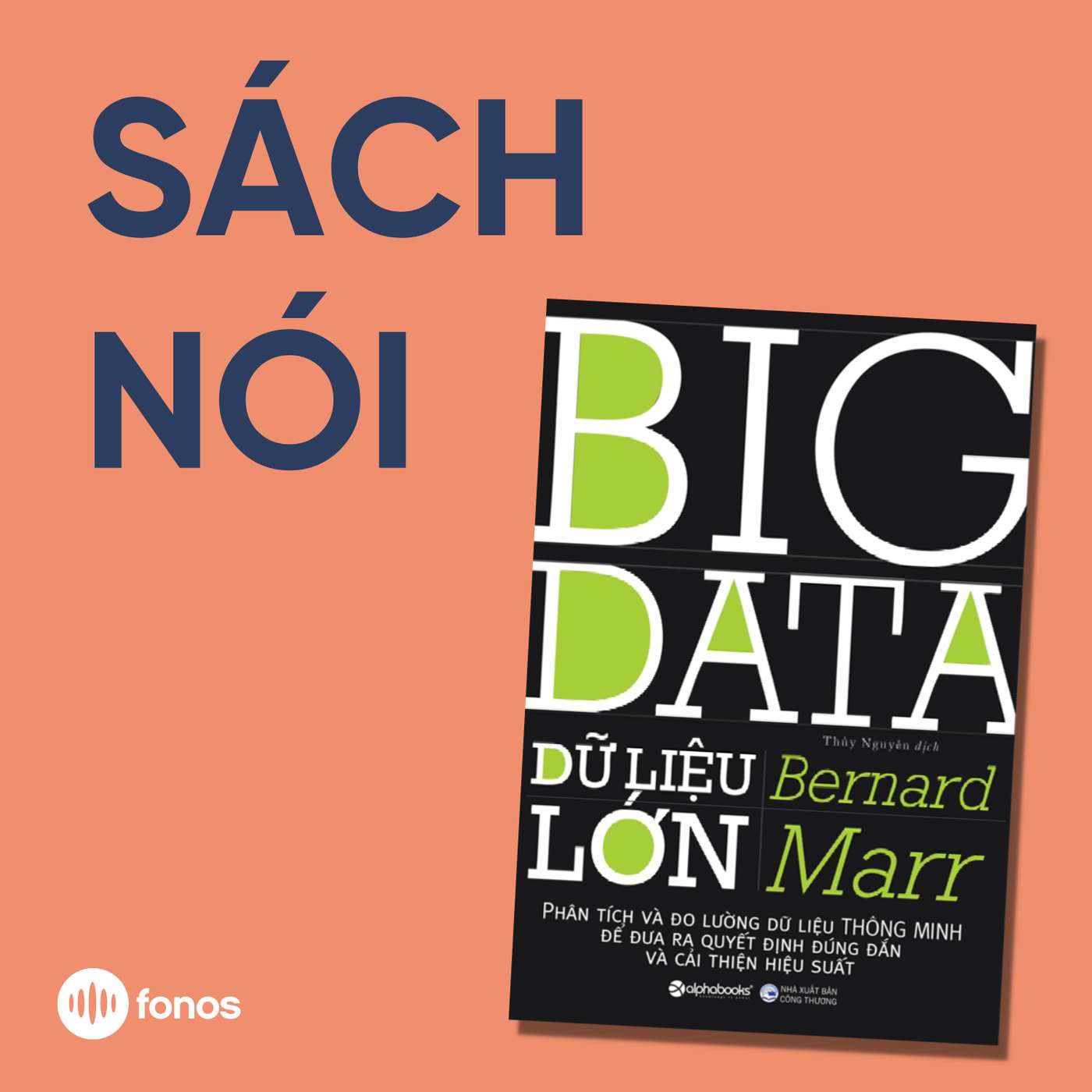 Dữ Liệu Lớn [Sách Nói]
