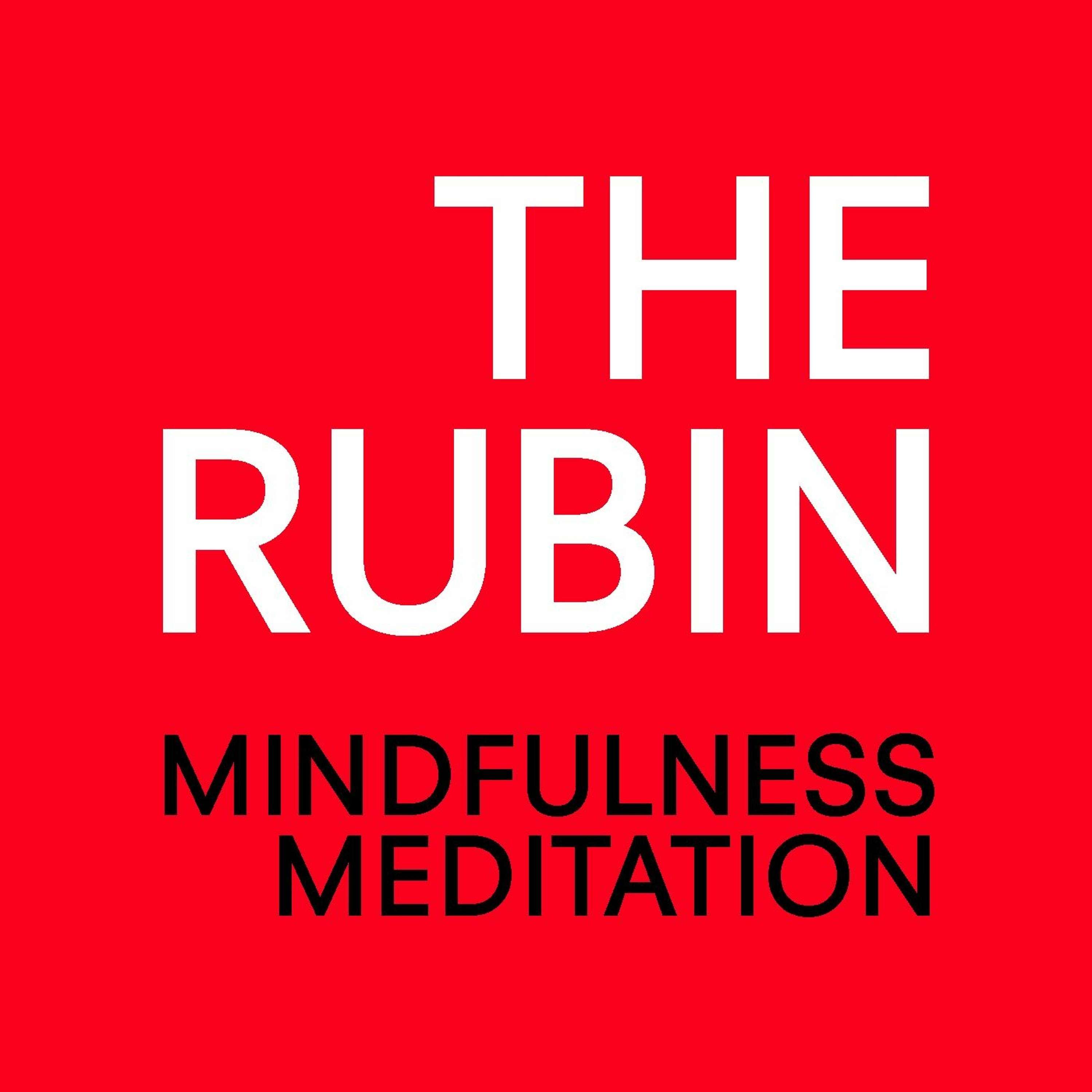 Mindfulness Meditation 10/28/2015 with Sharon Salzberg