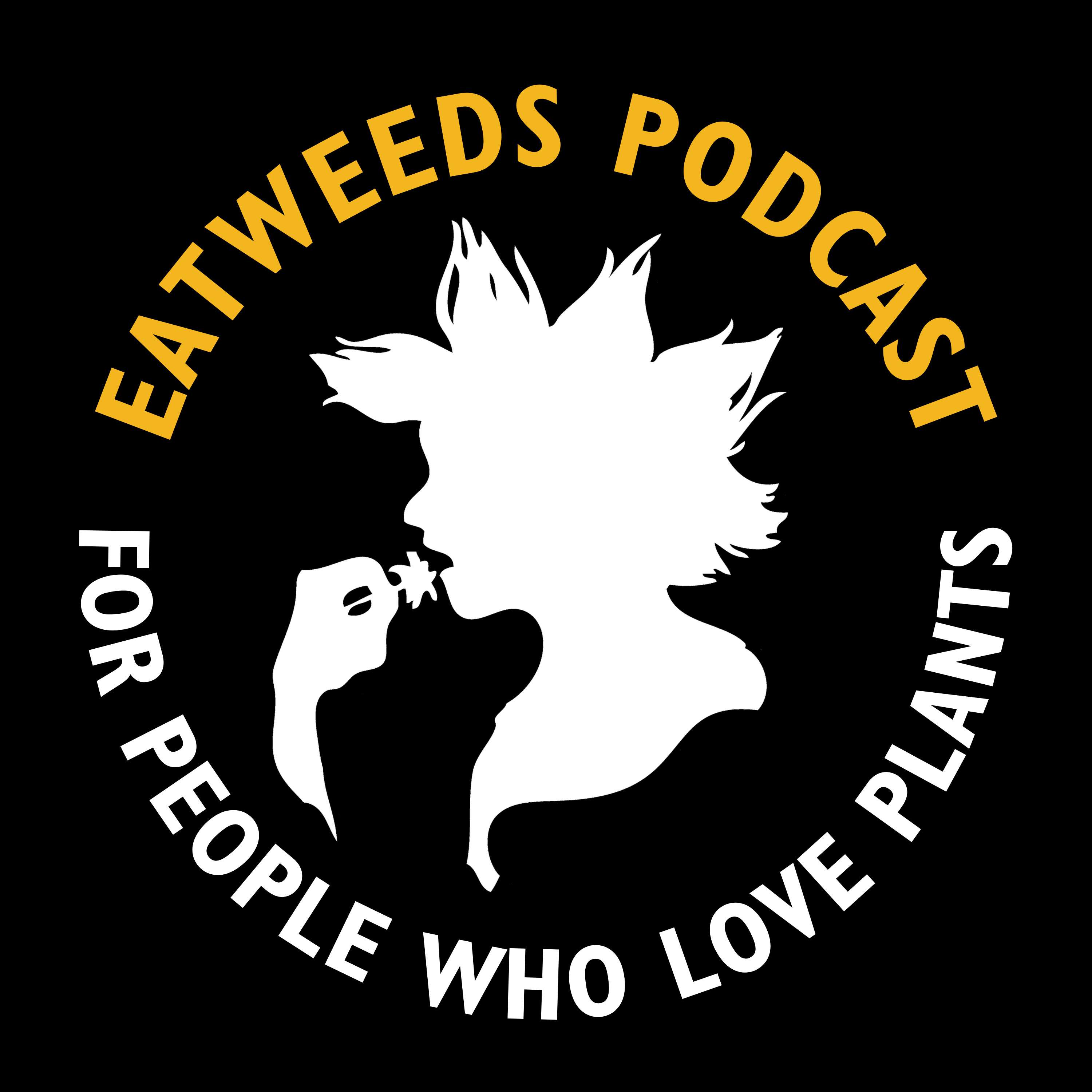EP35 Plant Talk: Silver Wattle, Darwin's Barberry and Catkins