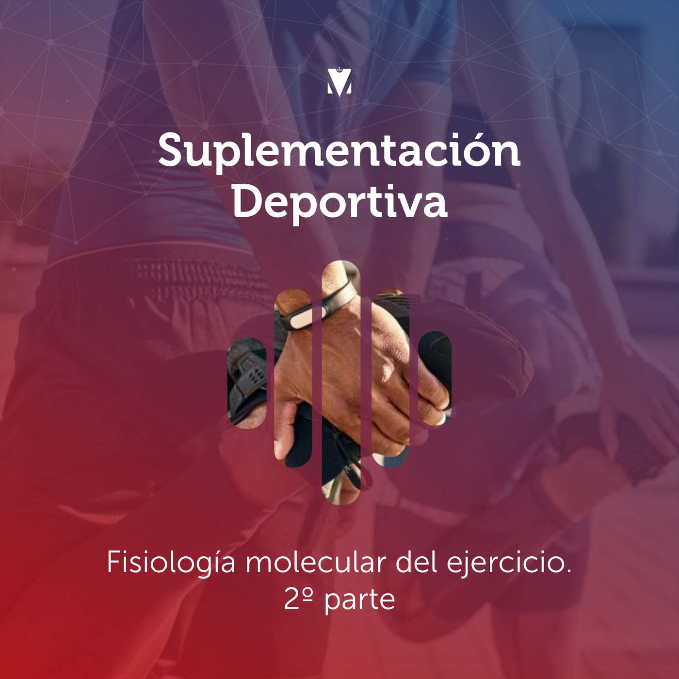 3 - SUPLEMENTACIÓN DEPORTIVA: Fisiología molecular del ejercicio - 2º parte